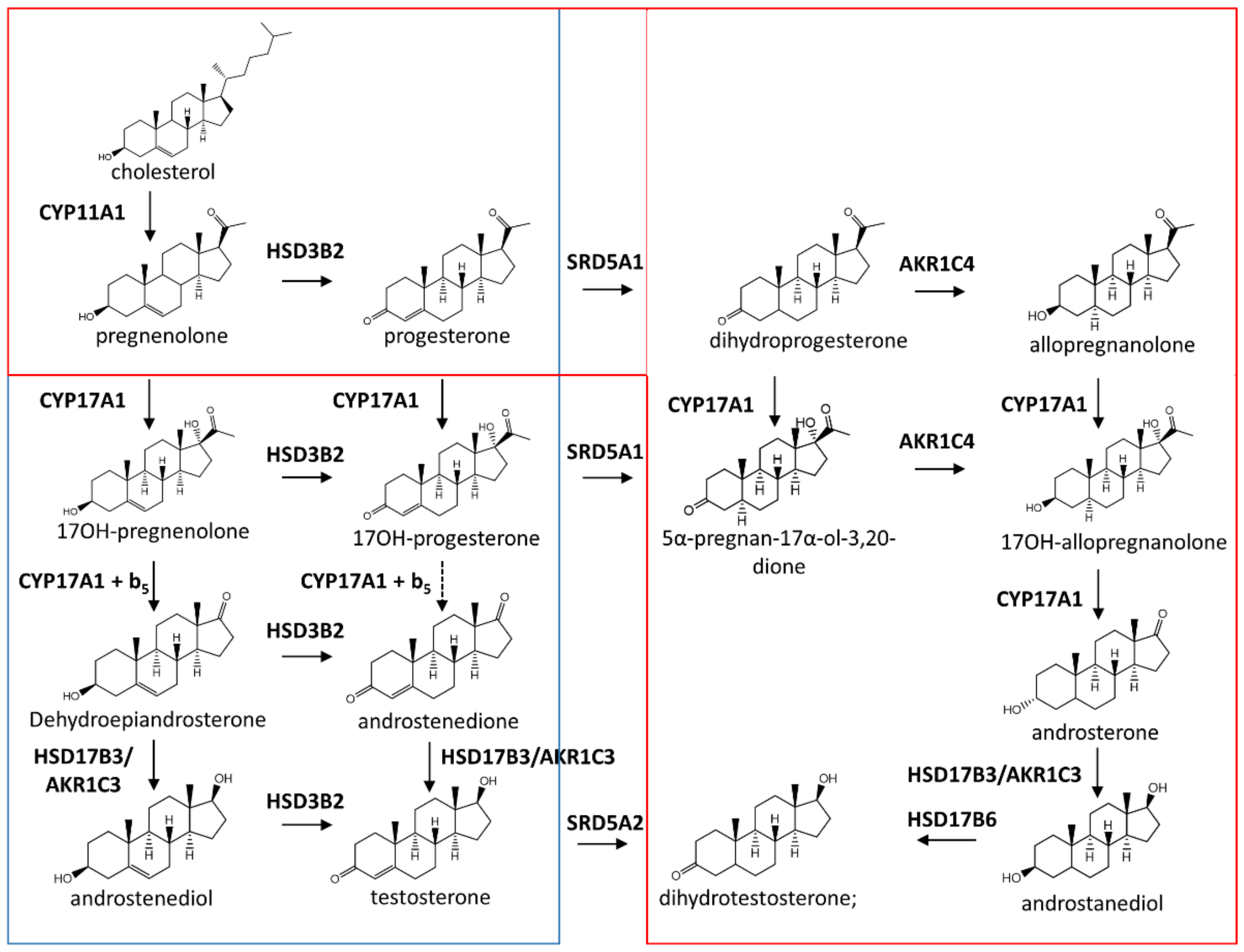 Plants 09 01144 g001