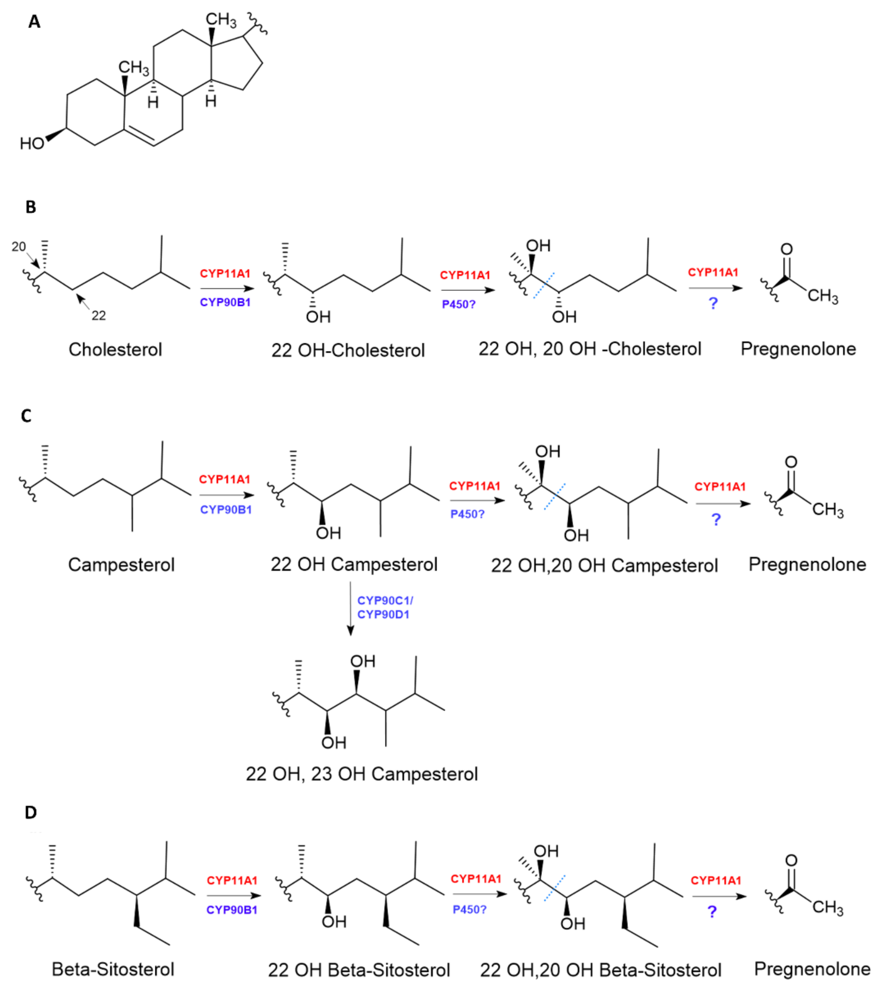 Plants 09 01144 g004