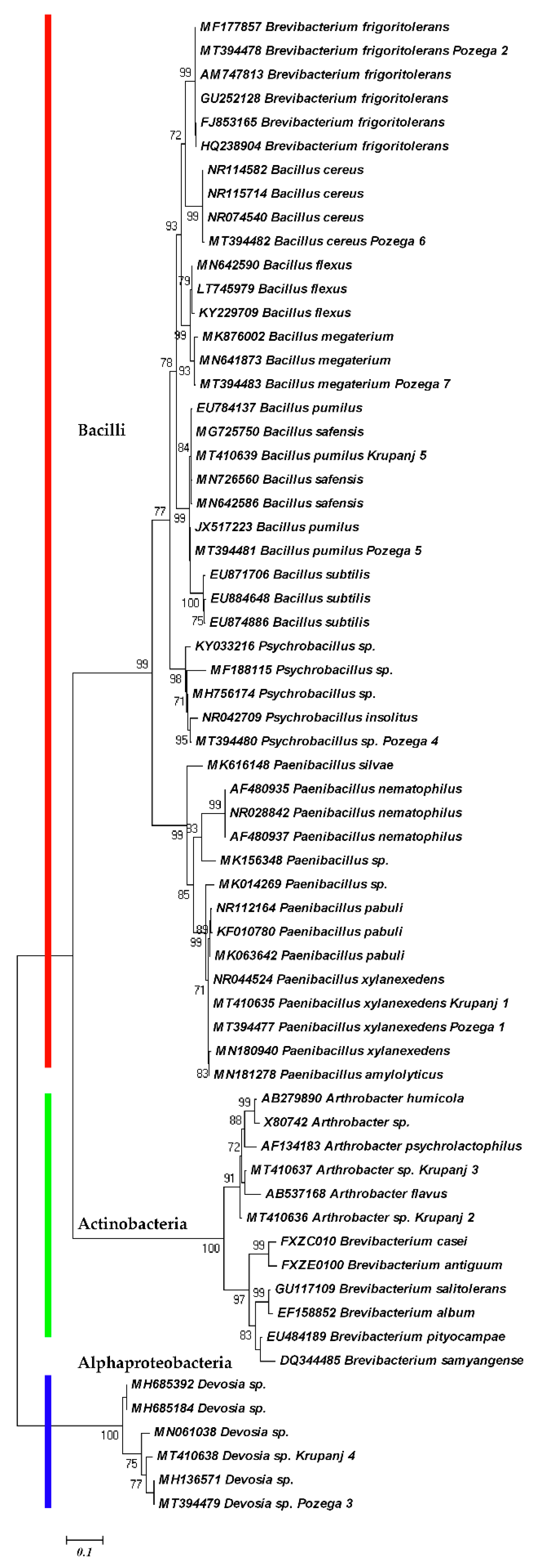 Plants 09 01146 g003