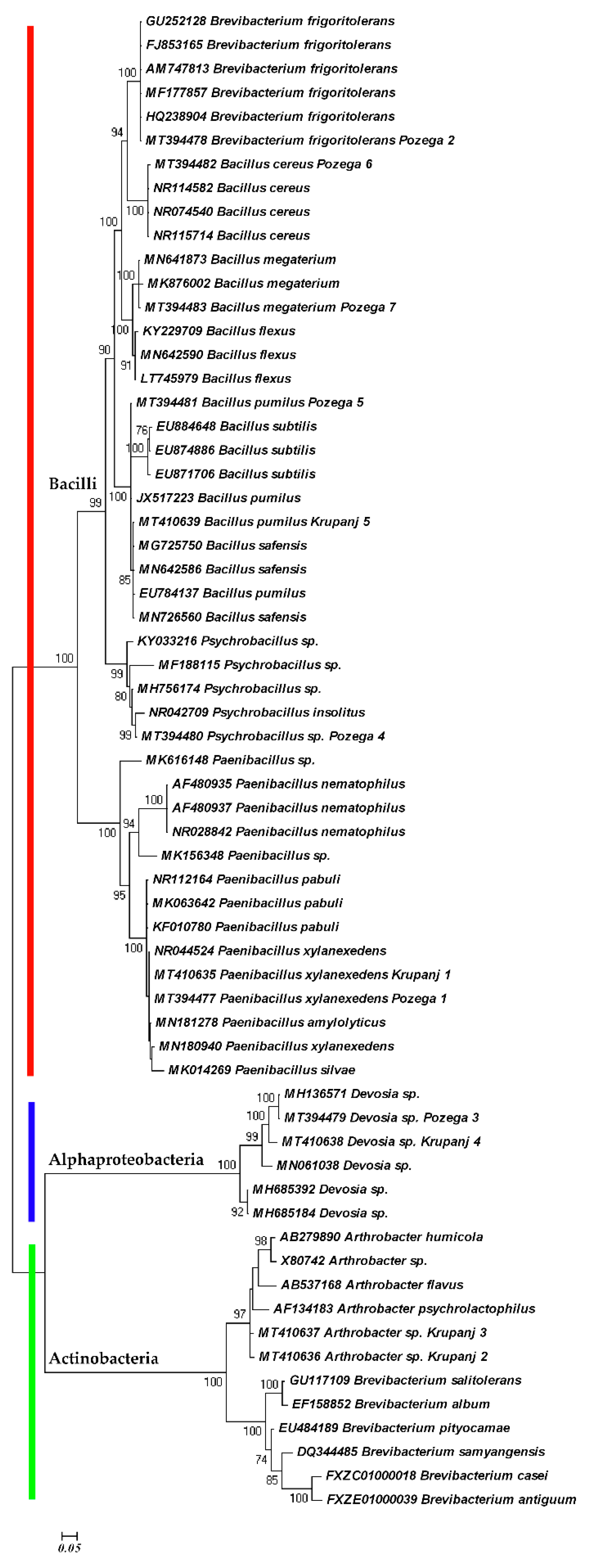 Plants 09 01146 g004