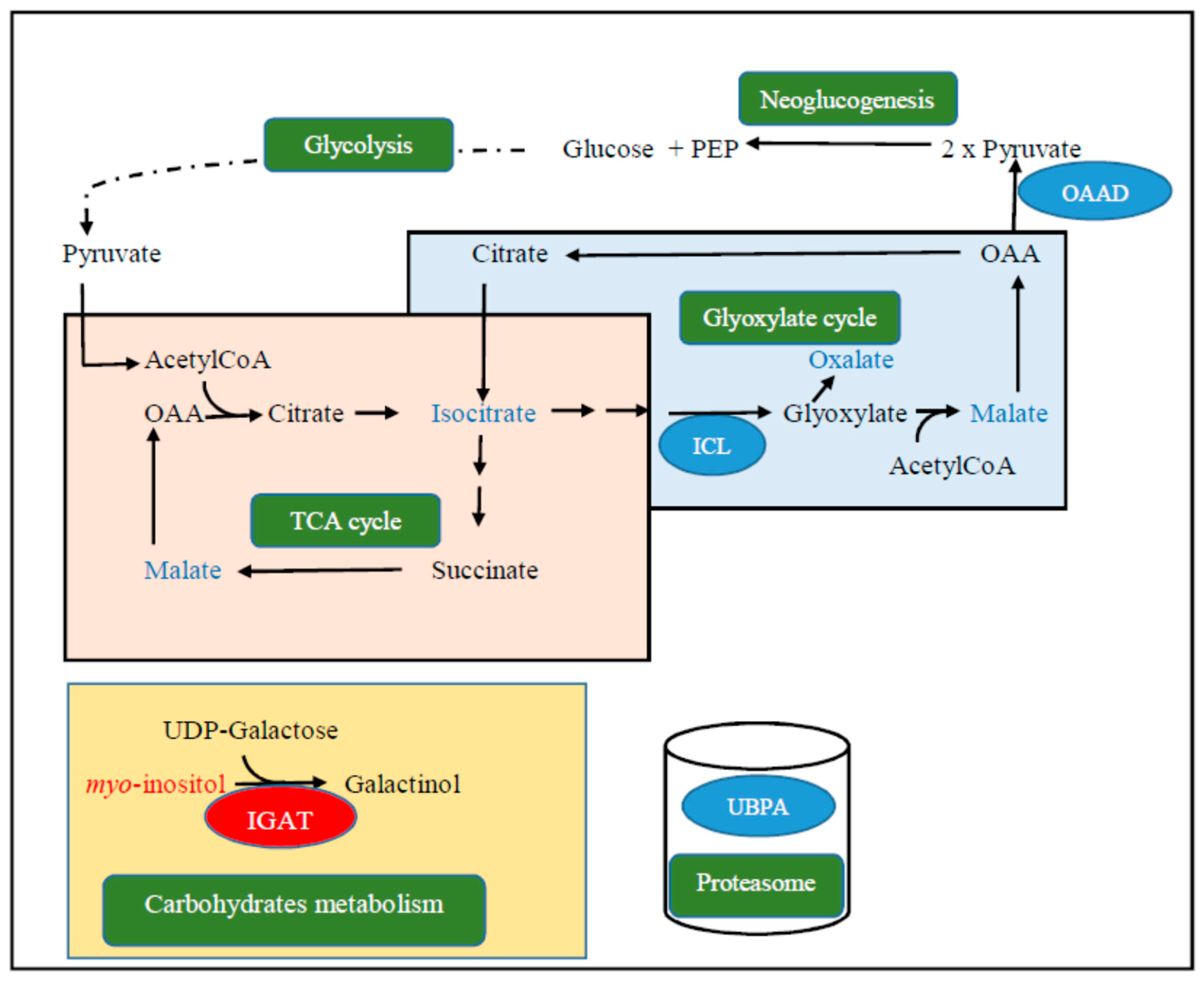 Plants 09 01149 g009