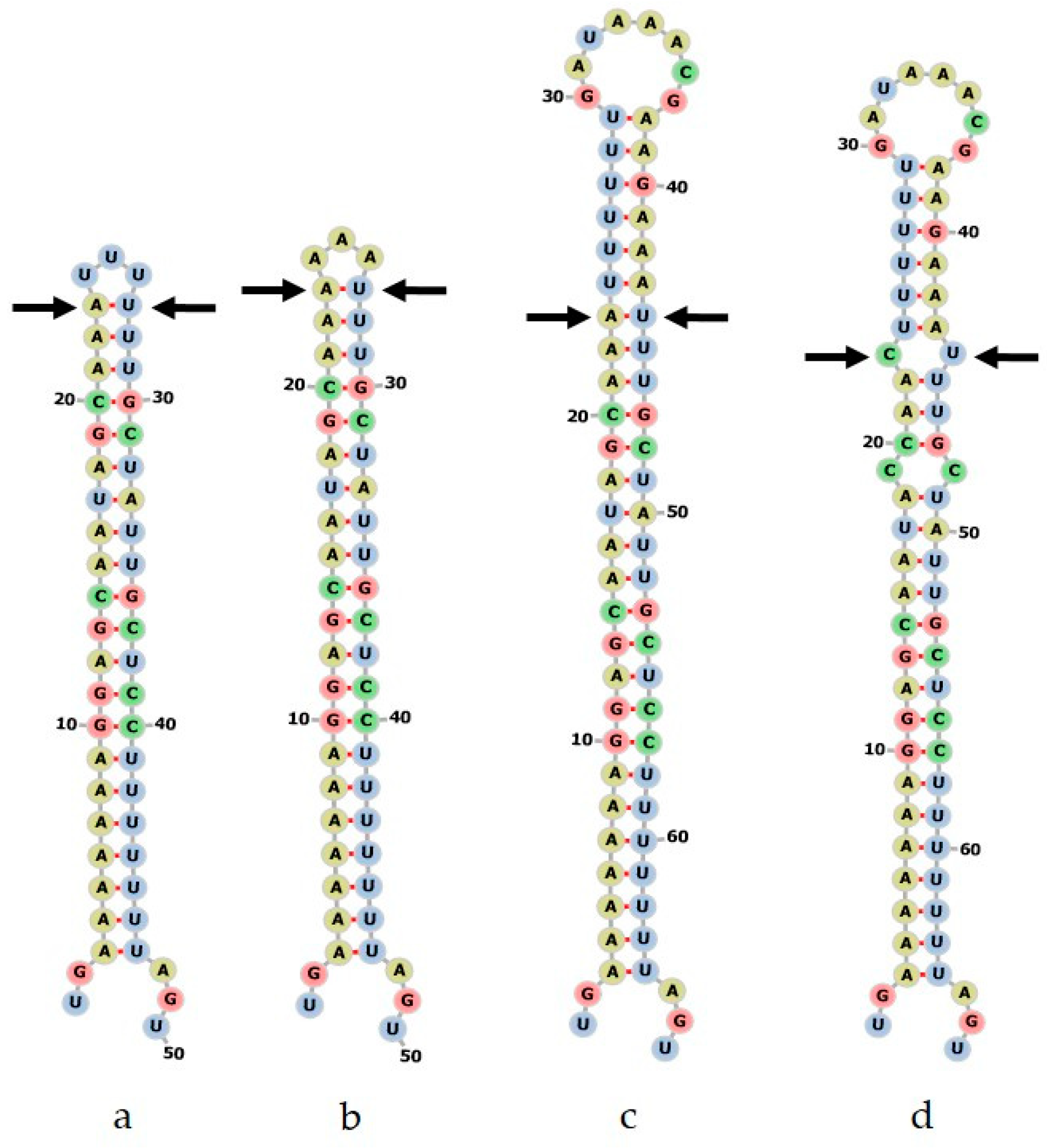 Plants 09 01150 g004
