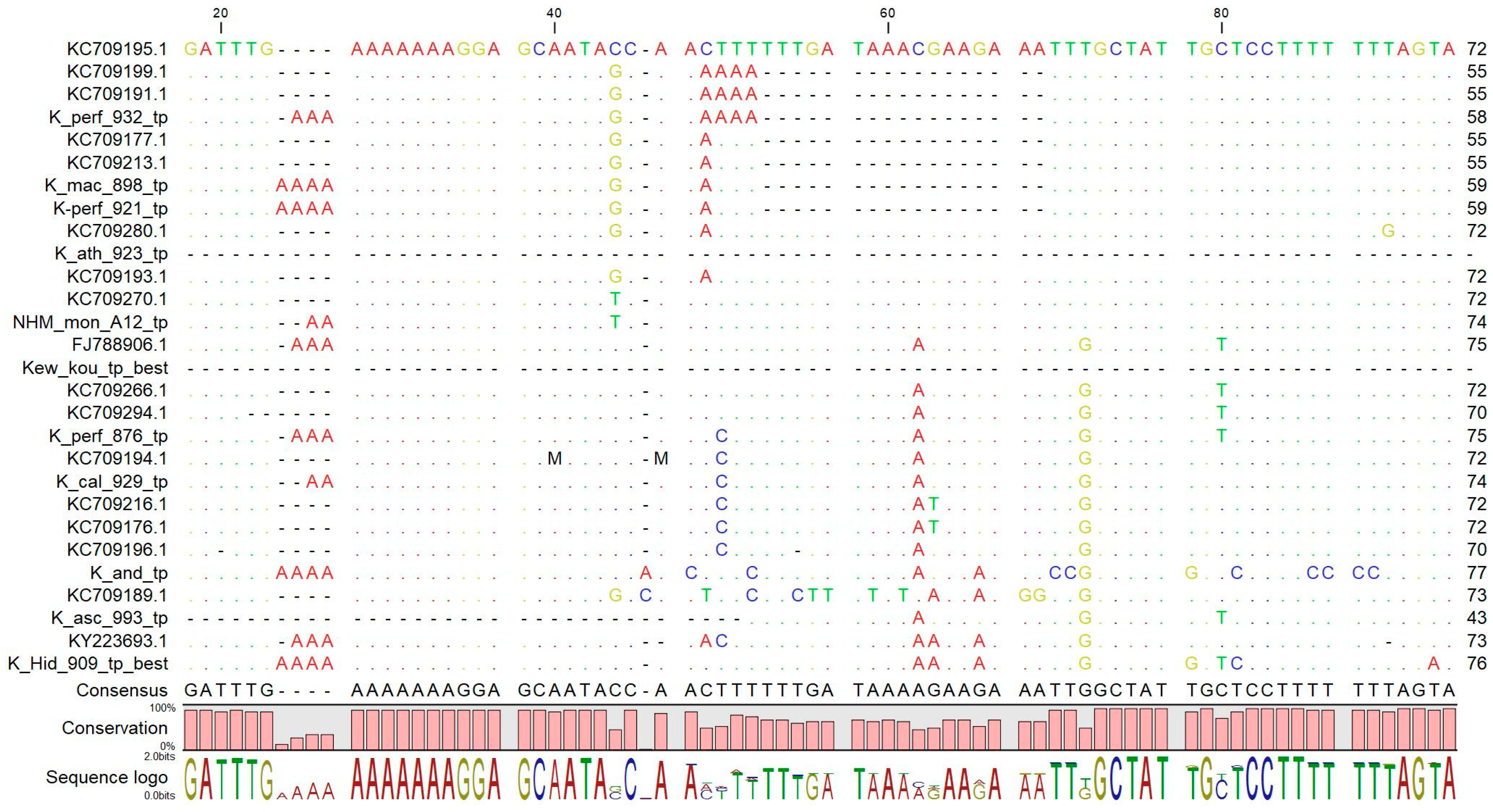 Plants 09 01150 g005
