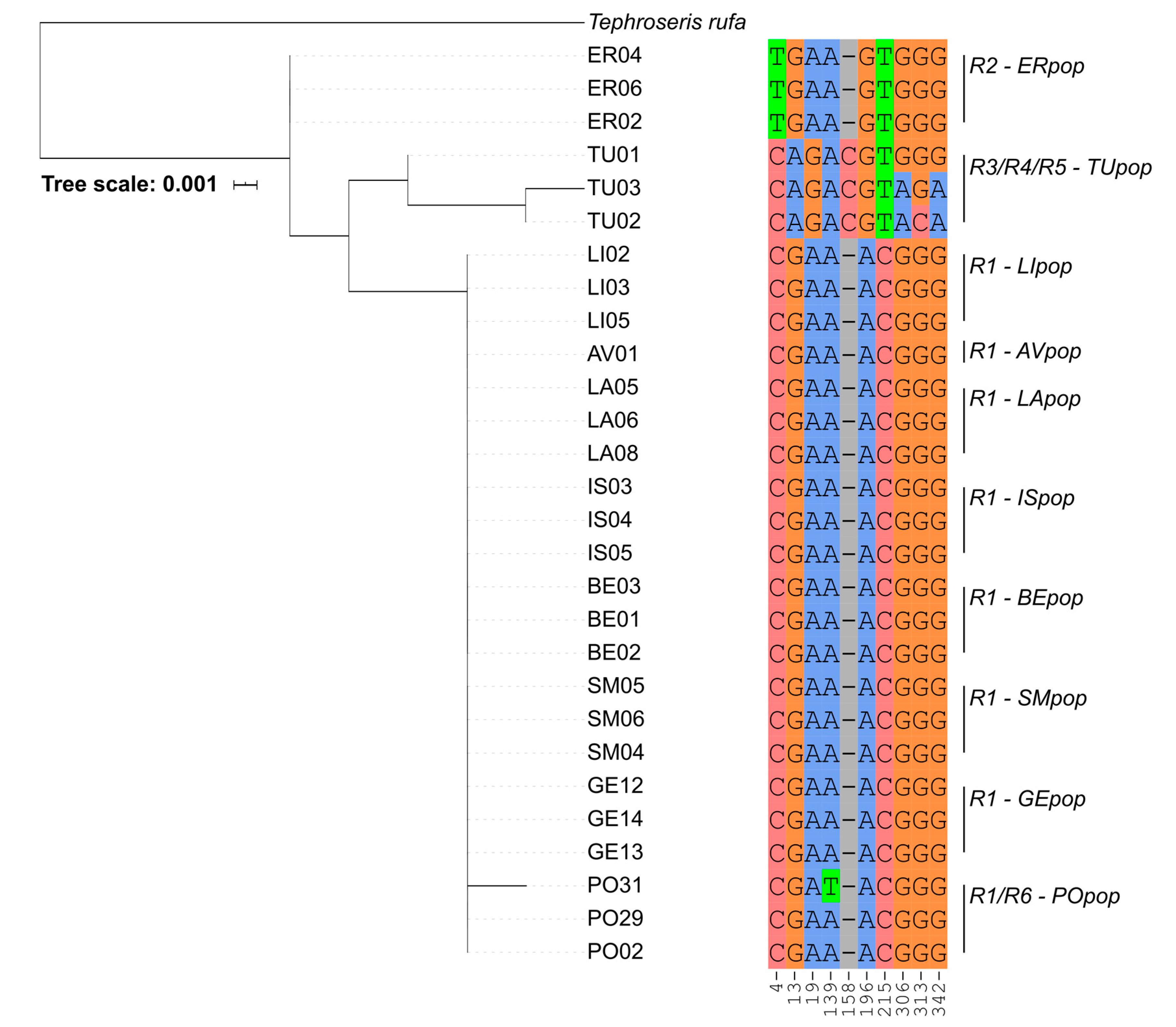 Plants 09 01160 g002 Plants 09 01160 g002