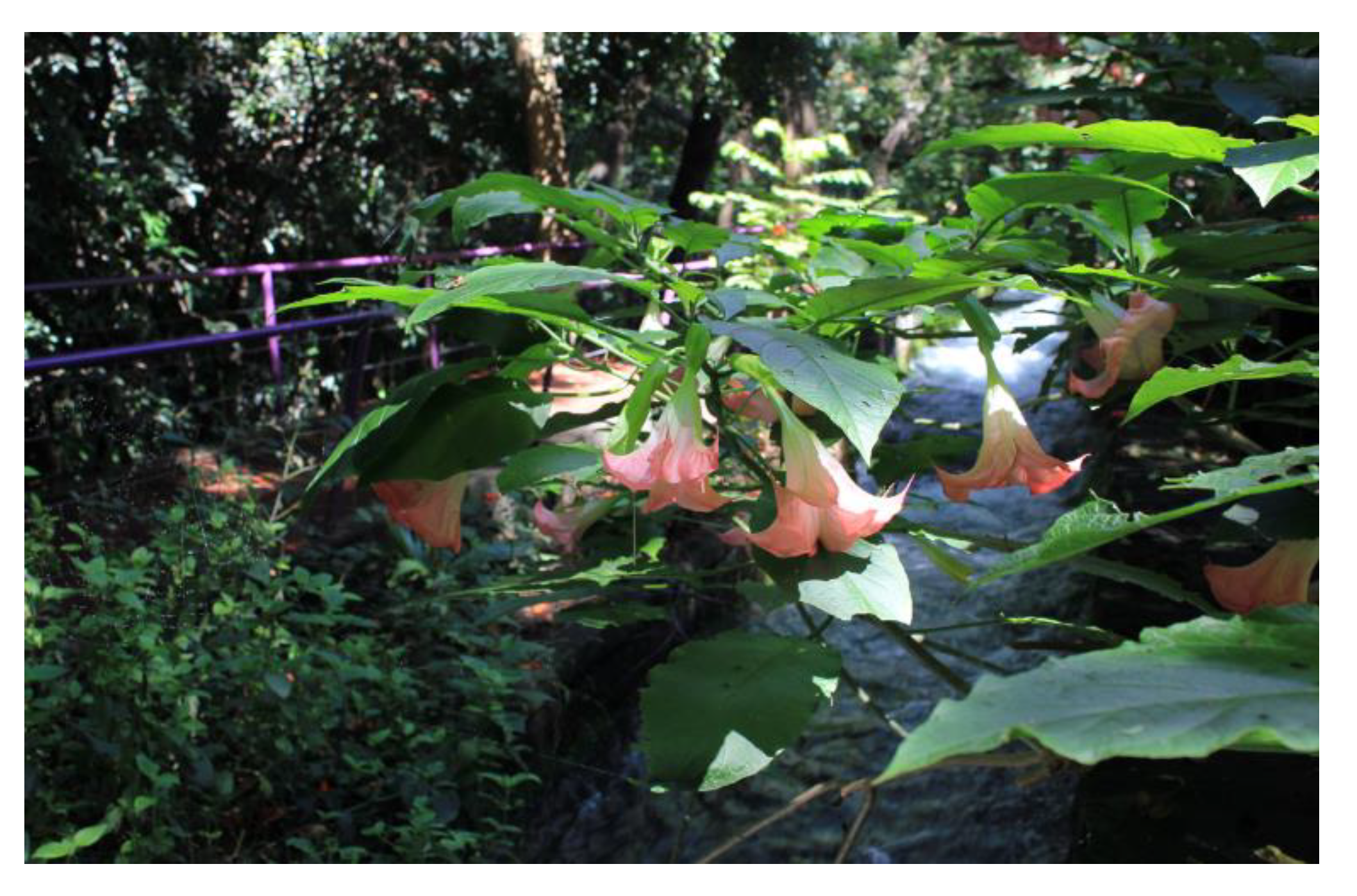 Plants 09 01161 g001 Plants 09 01161 g001