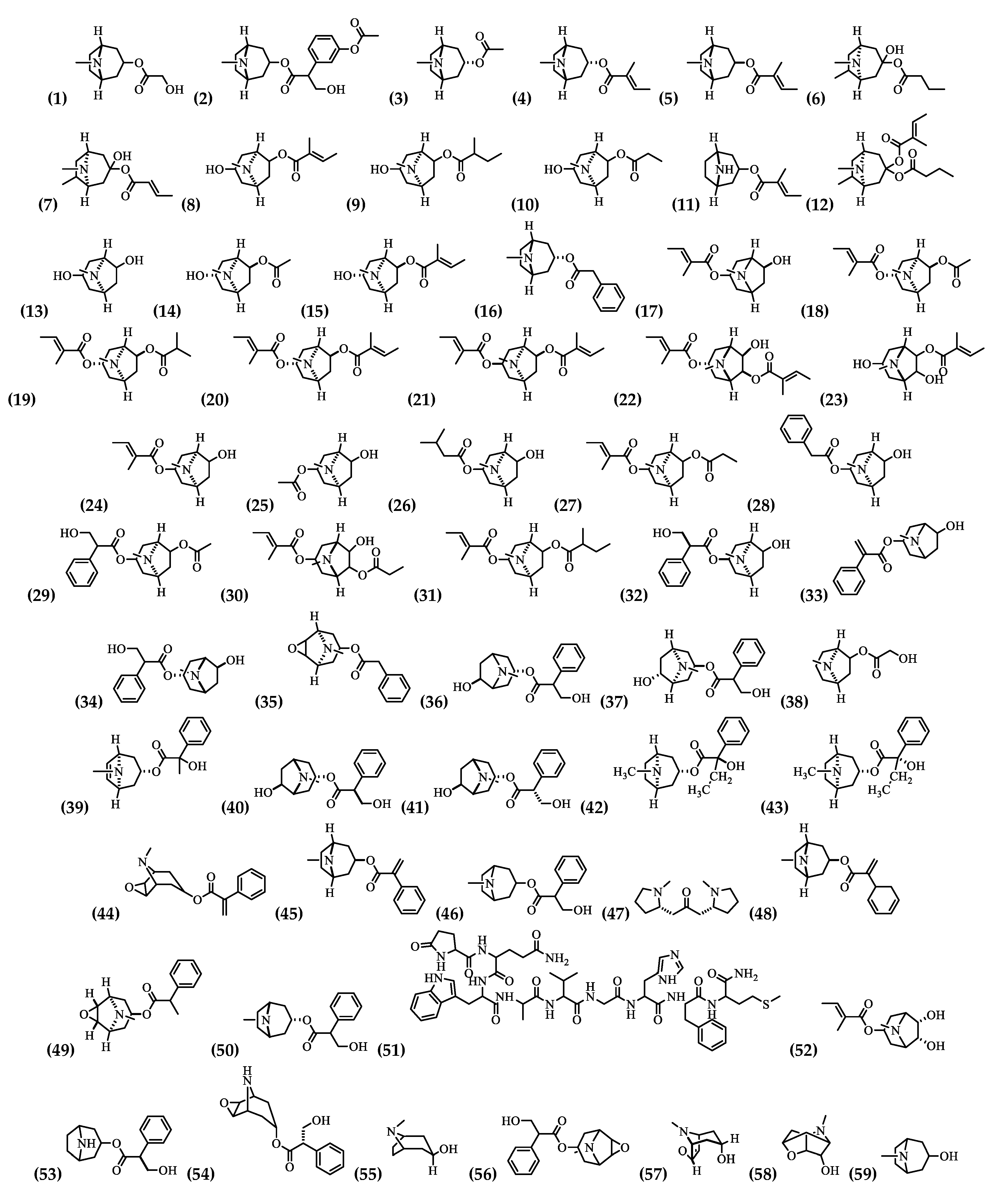 Plants 09 01161 g003 Plants 09 01161 g003