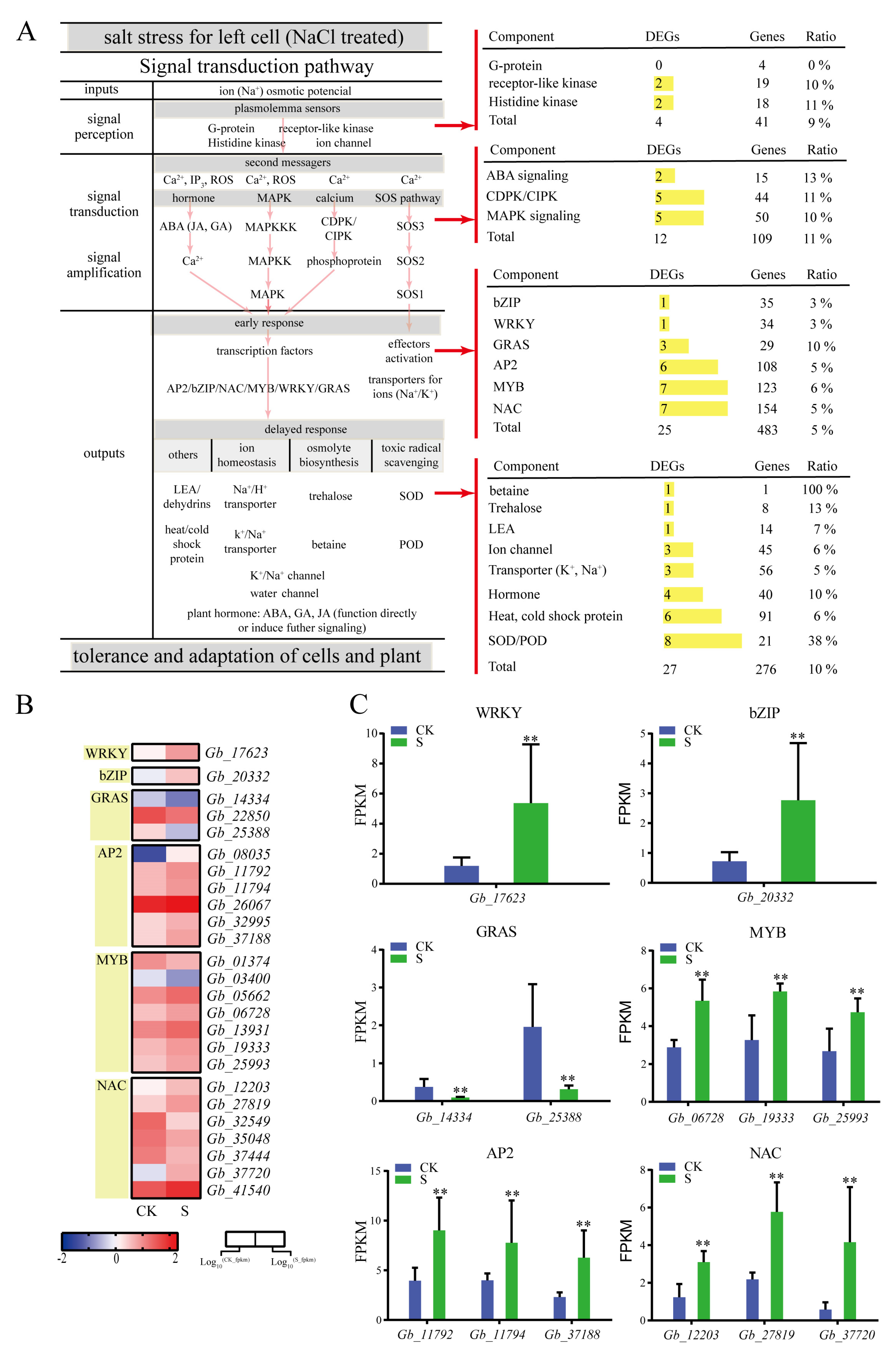 Plants 09 01162 g005