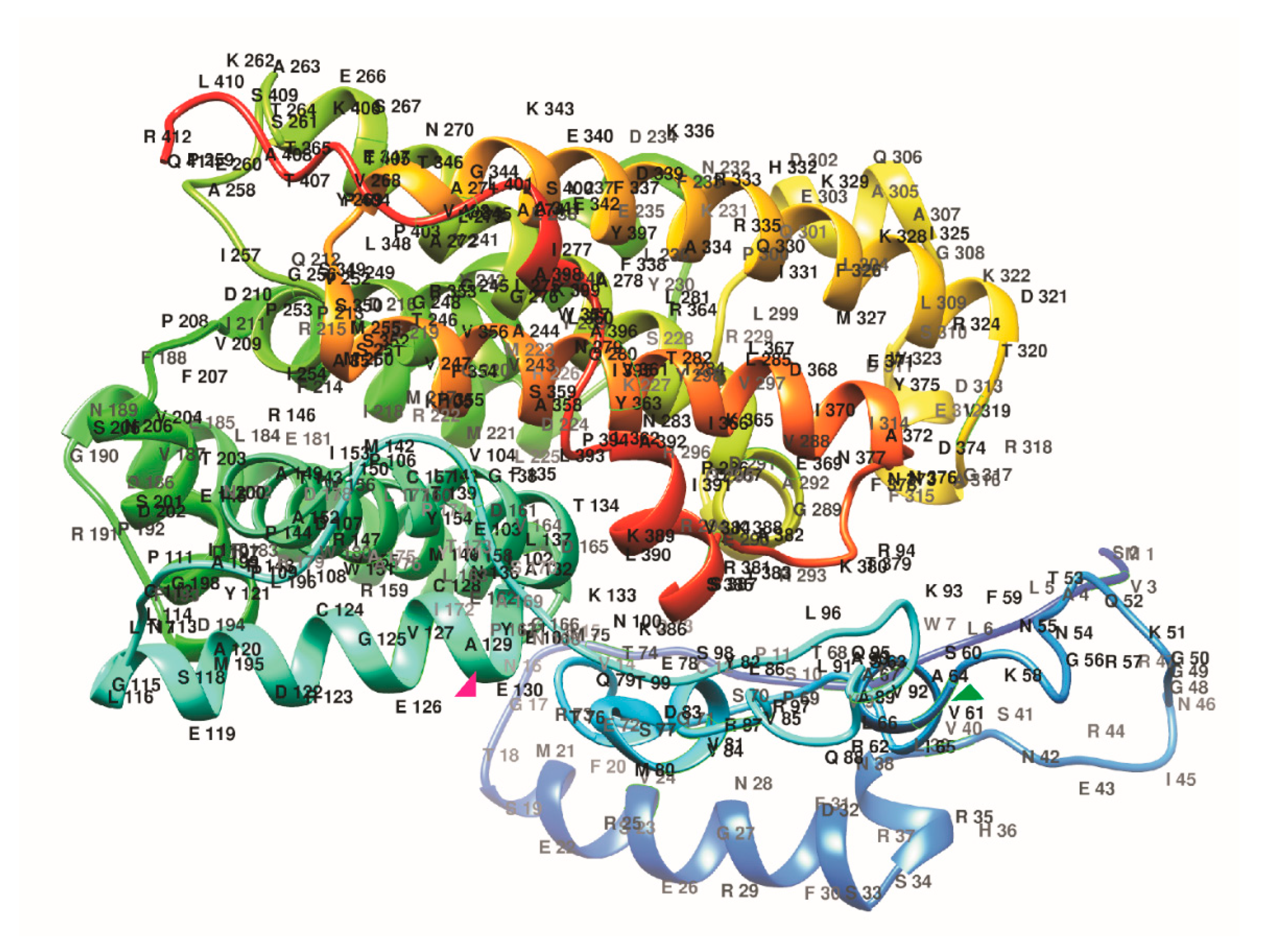 Plants 09 01169 g004