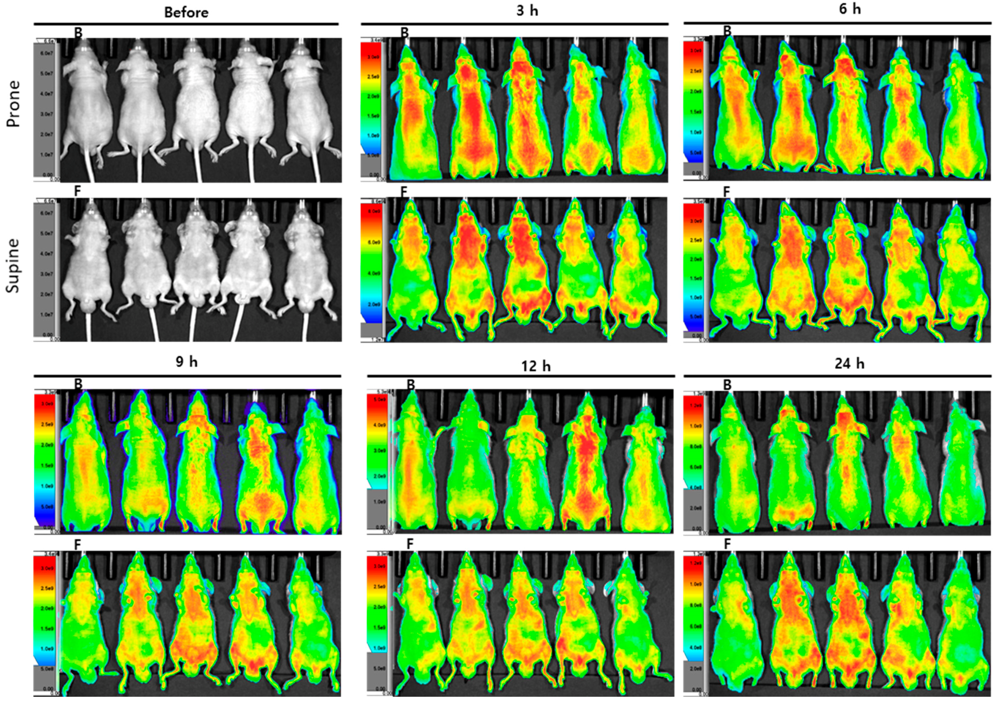 Plants 09 01175 g006