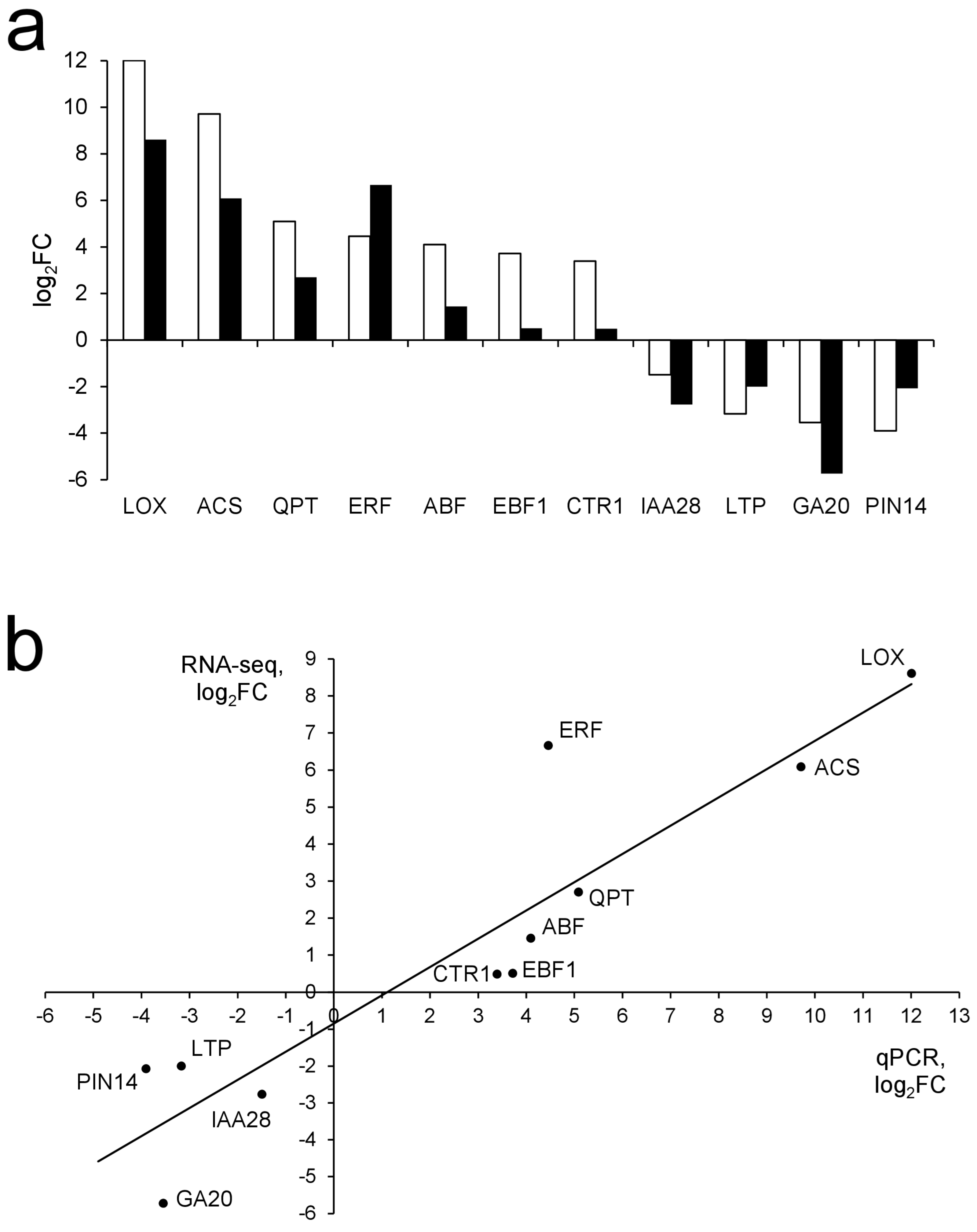 Plants 09 01176 g001