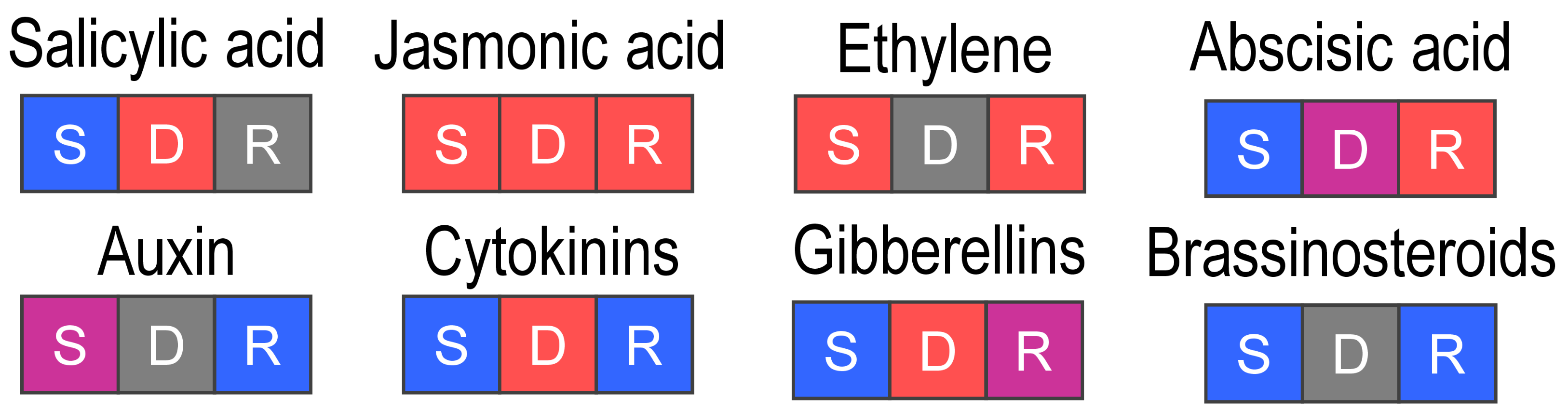 Plants 09 01176 g003