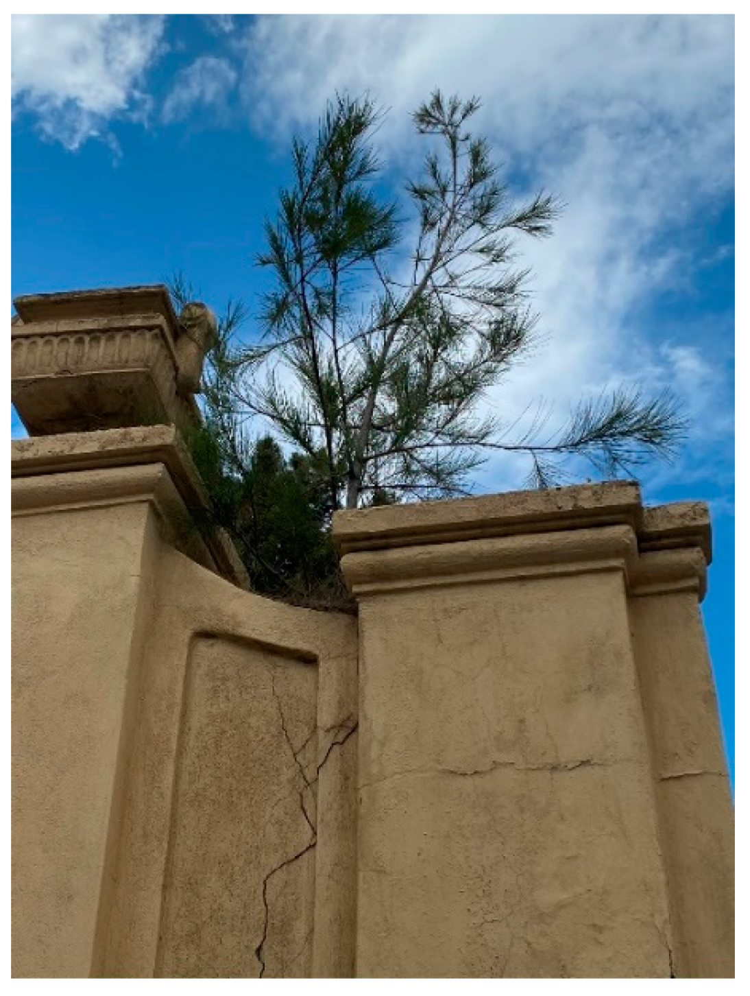 Plants 09 01181 g0a4