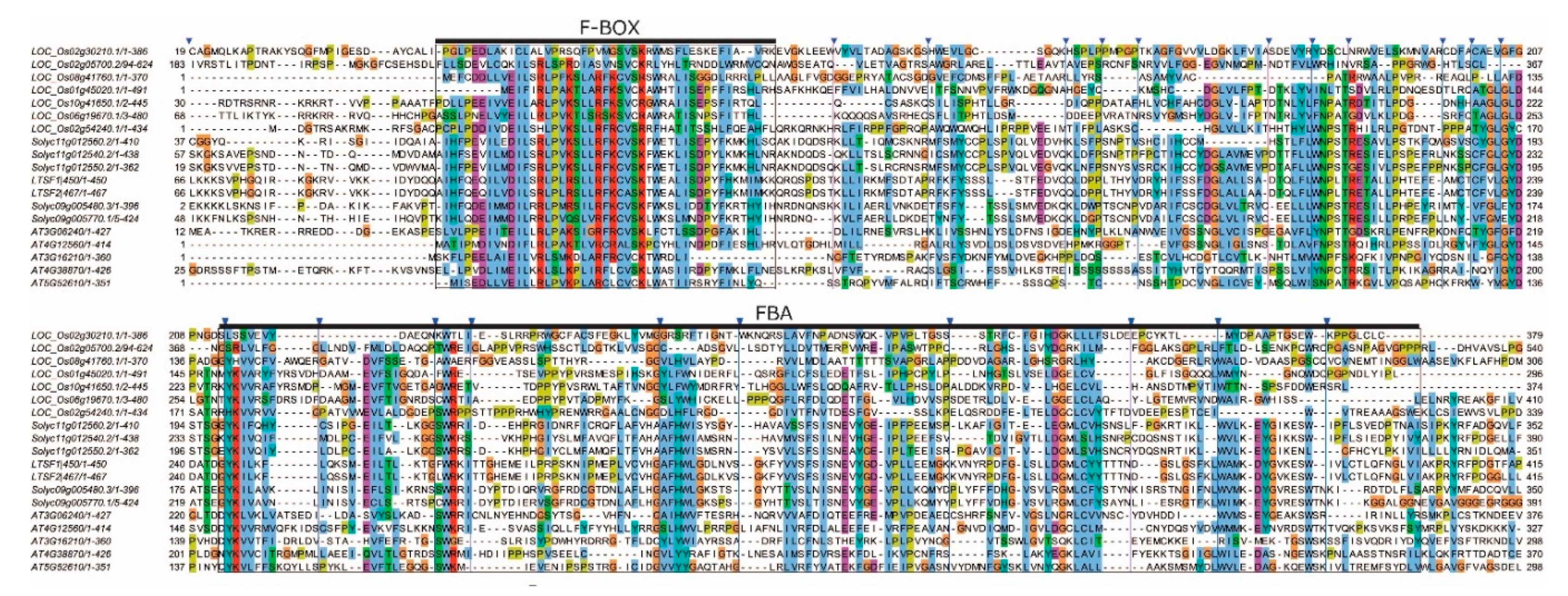 Plants 09 01186 g001