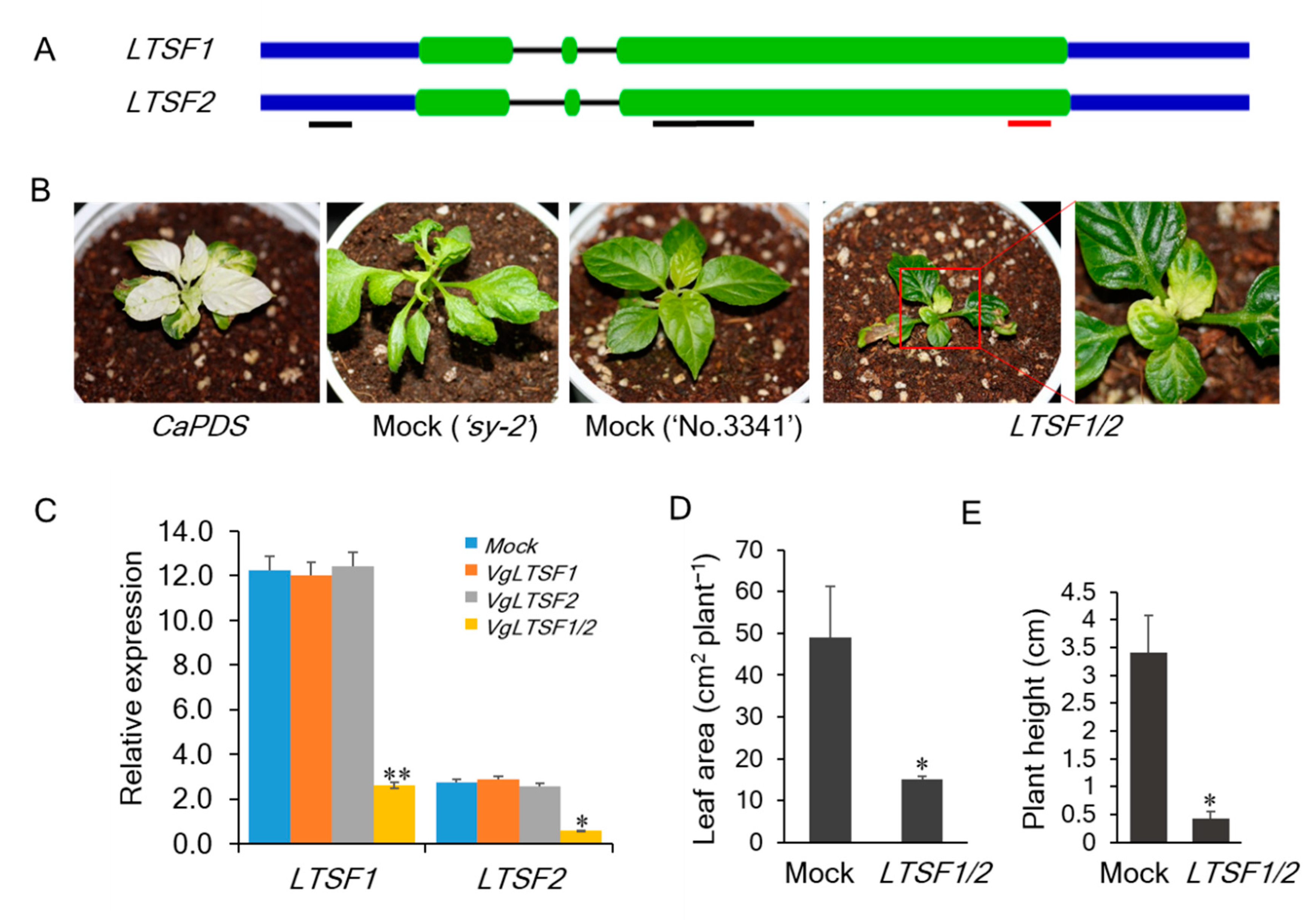 Plants 09 01186 g002