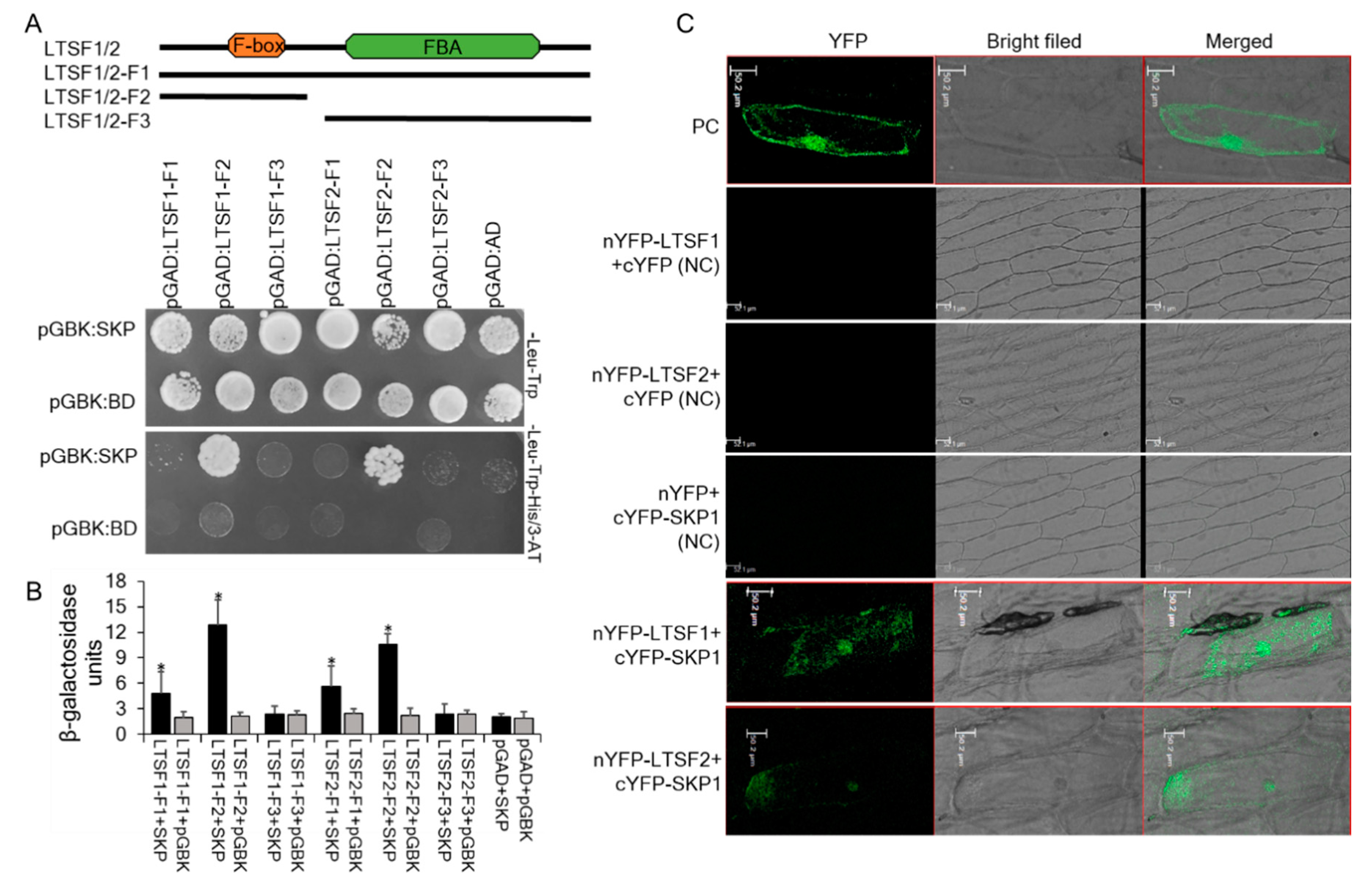 Plants 09 01186 g003