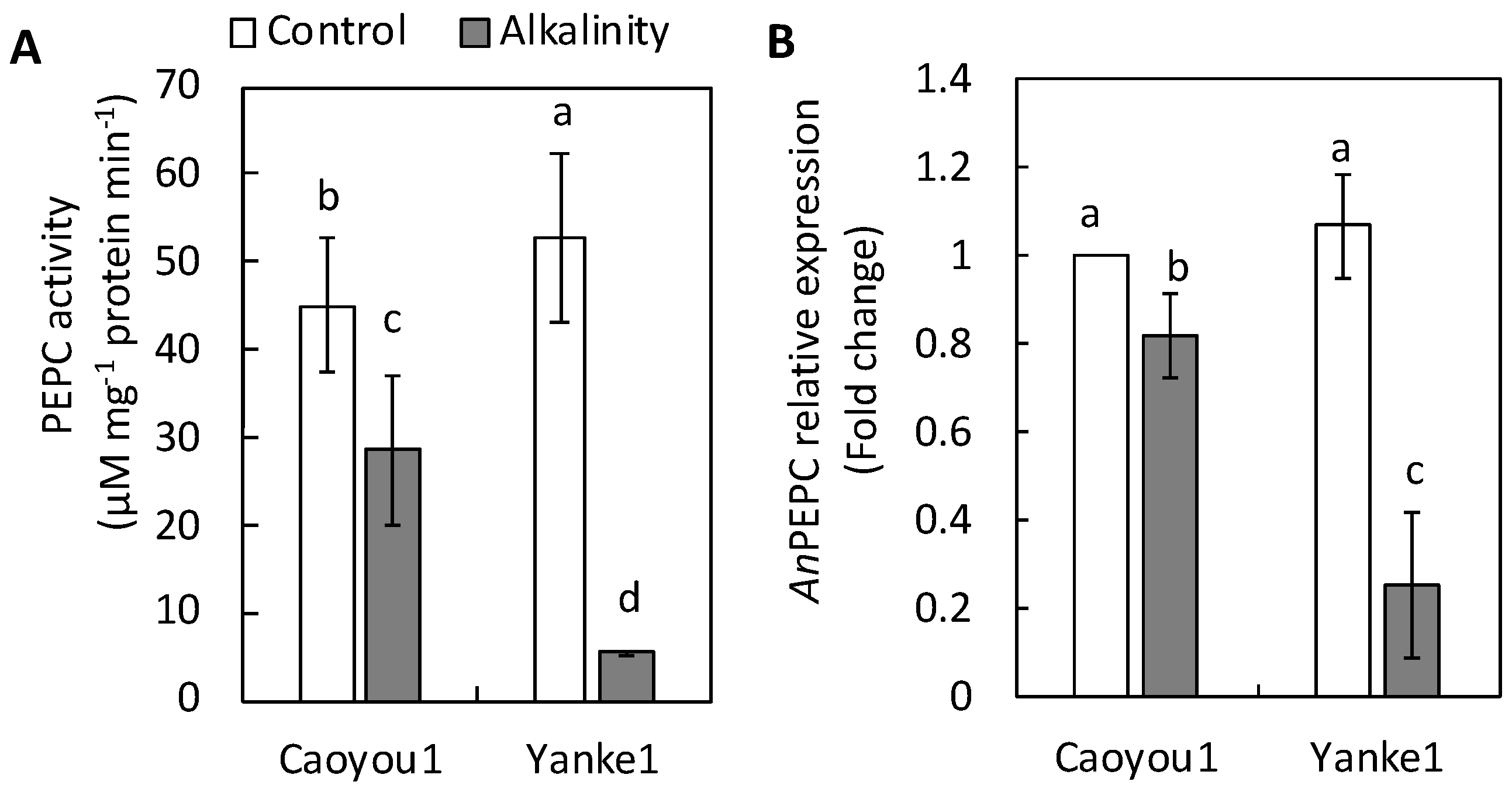 Plants 09 01188 g004