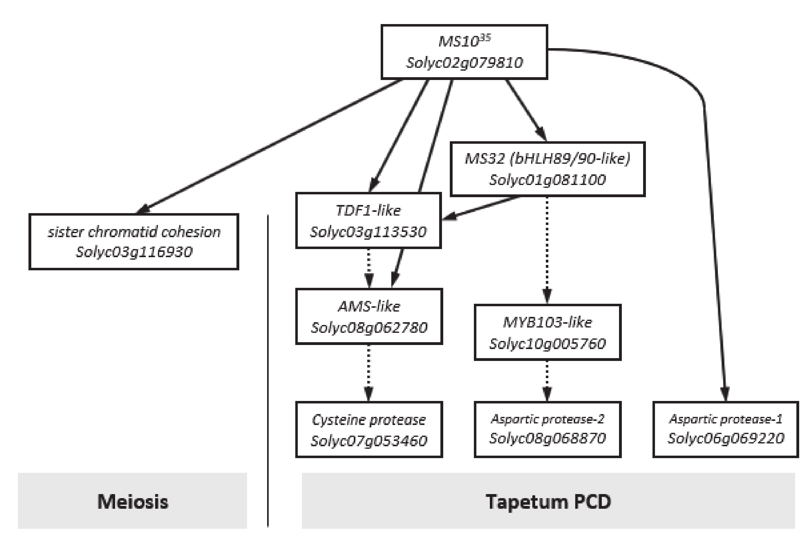 Plants 09 01189 g007