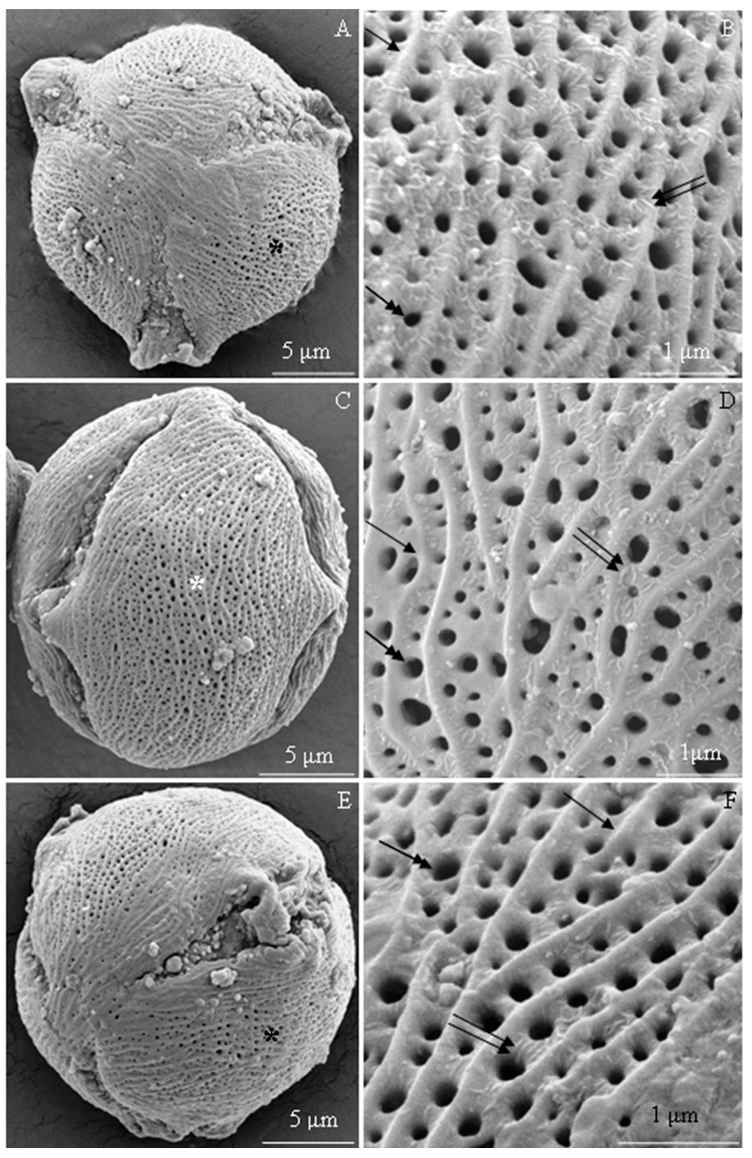 Plants 09 01194 g005 Plants 09 01194 g005