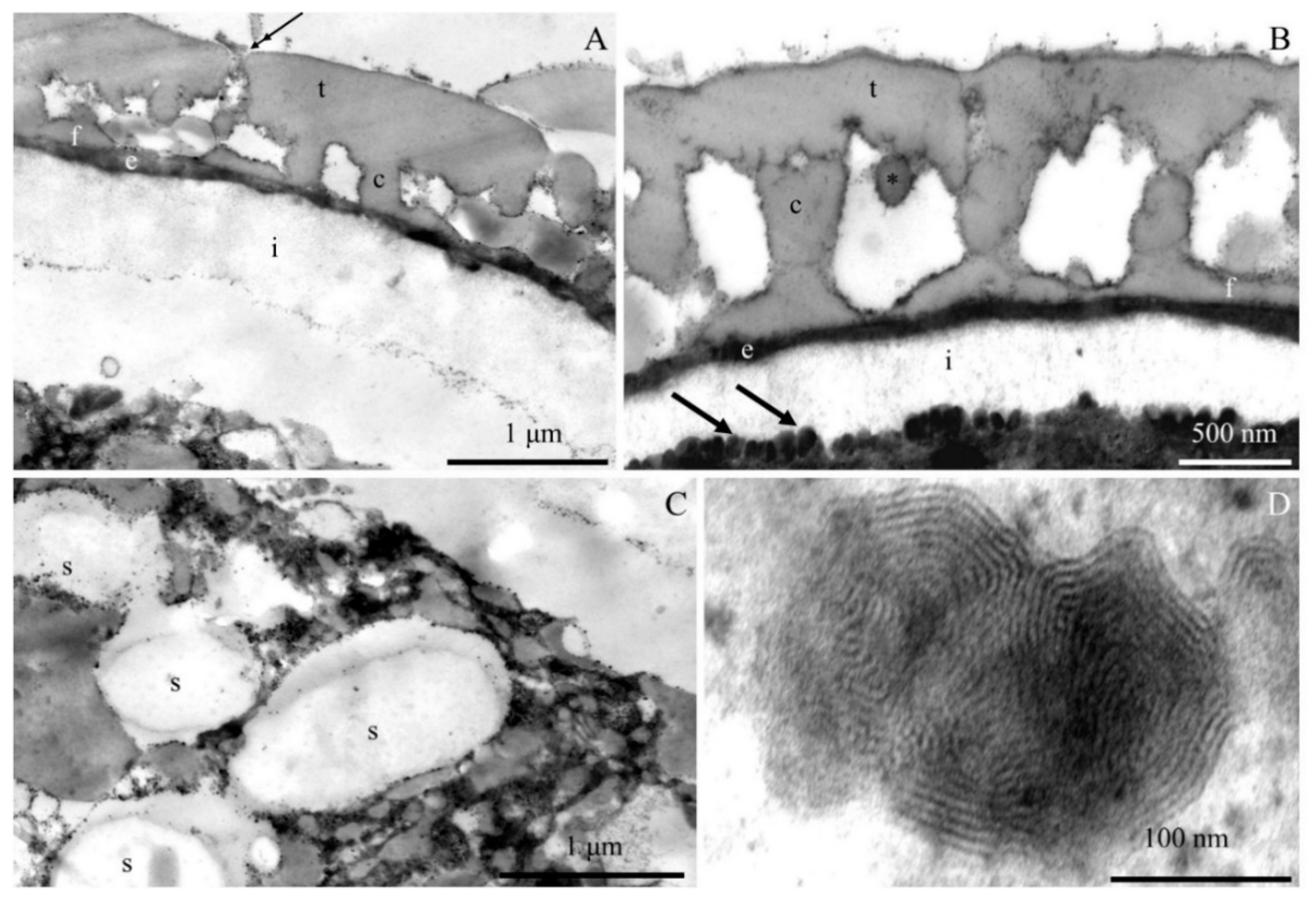 Plants 09 01194 g007 Plants 09 01194 g007