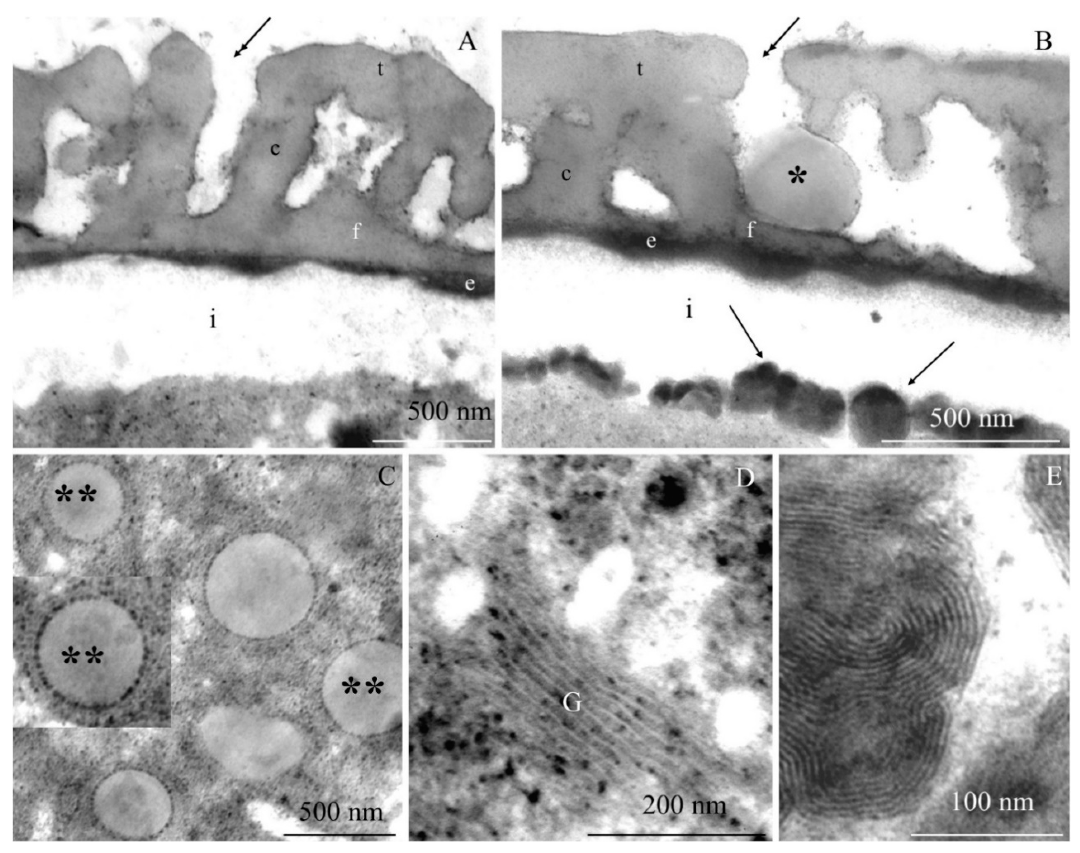 Plants 09 01194 g008 Plants 09 01194 g008