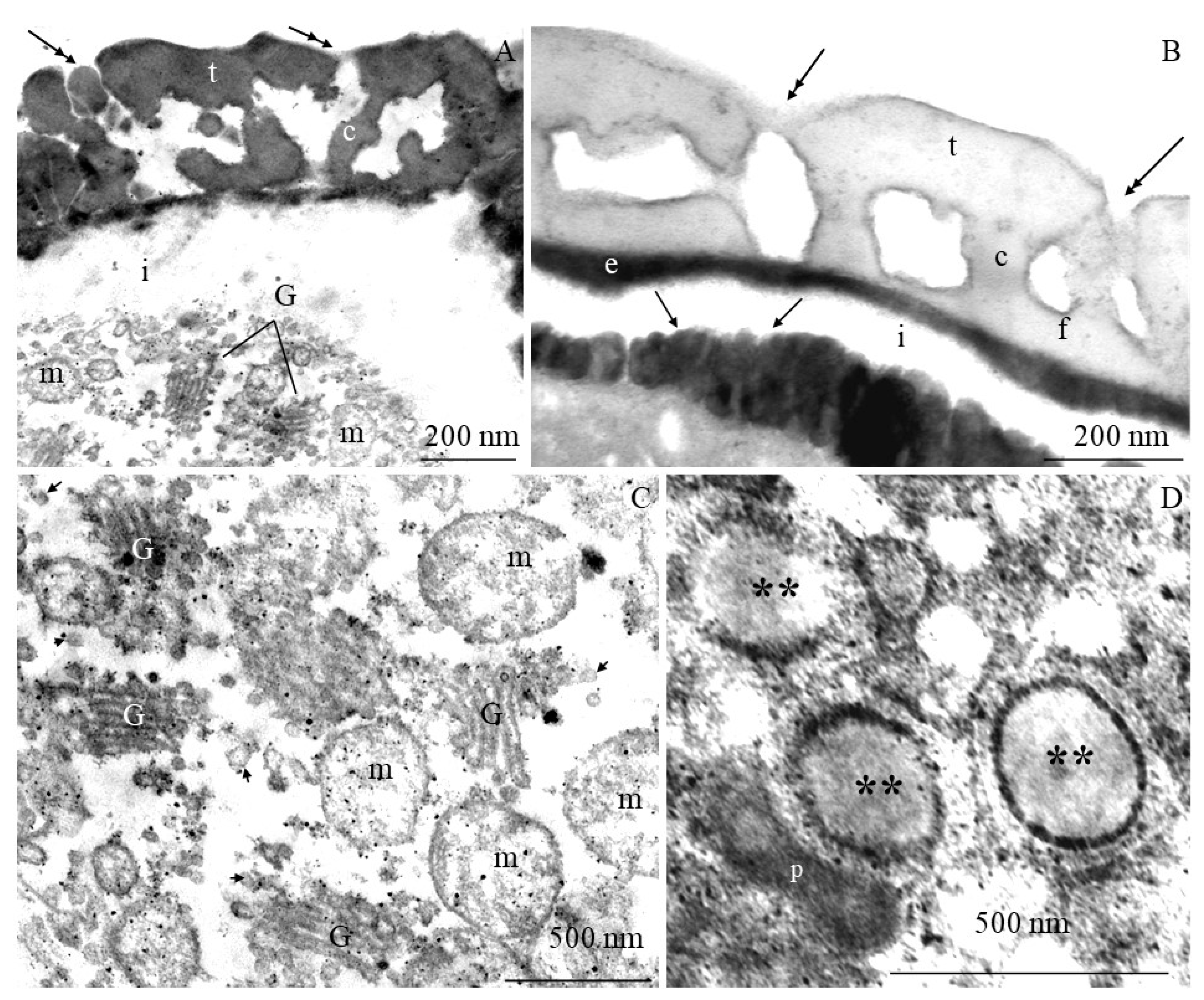 Plants 09 01194 g009 Plants 09 01194 g009