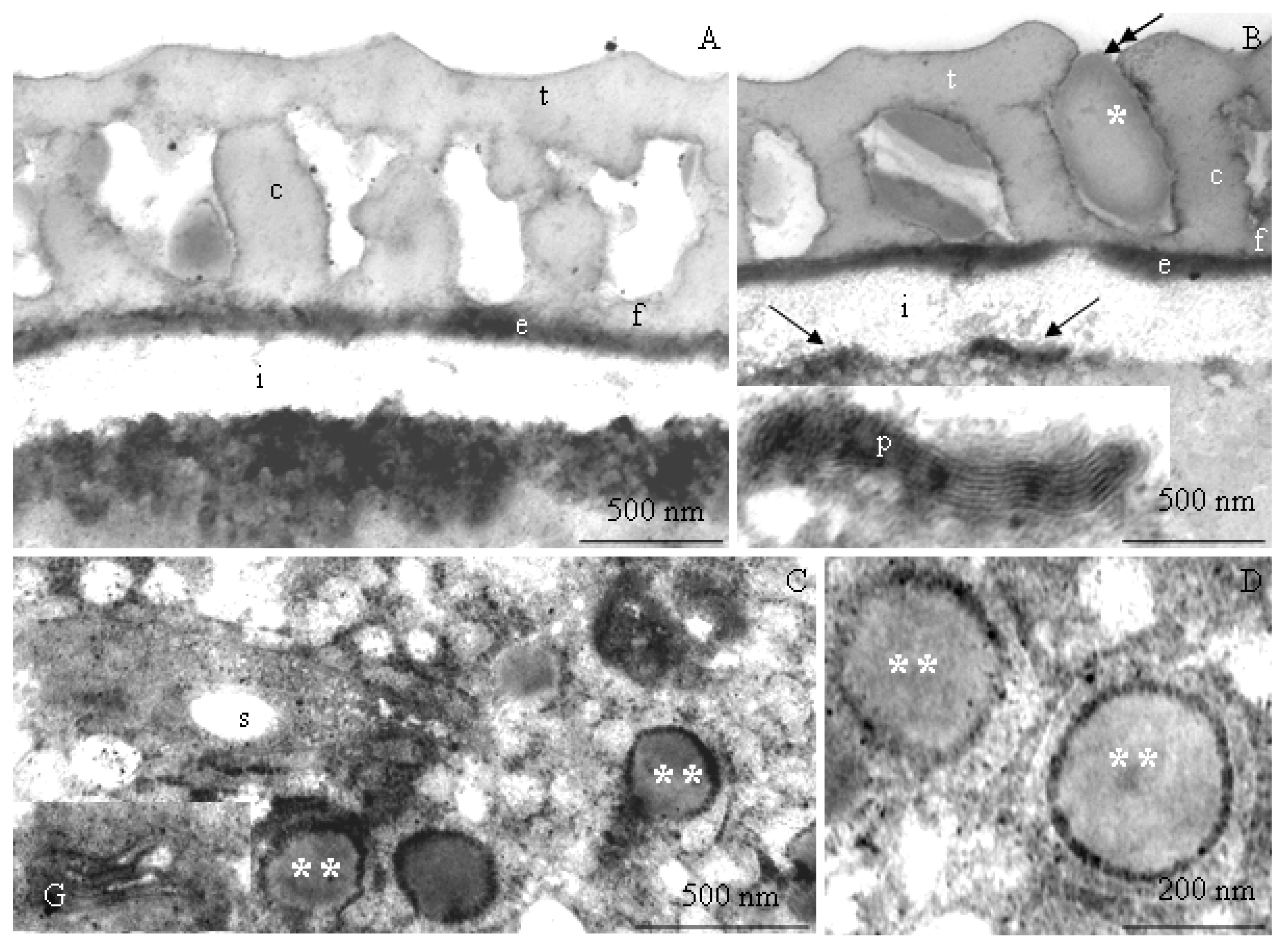 Plants 09 01194 g010 Plants 09 01194 g010