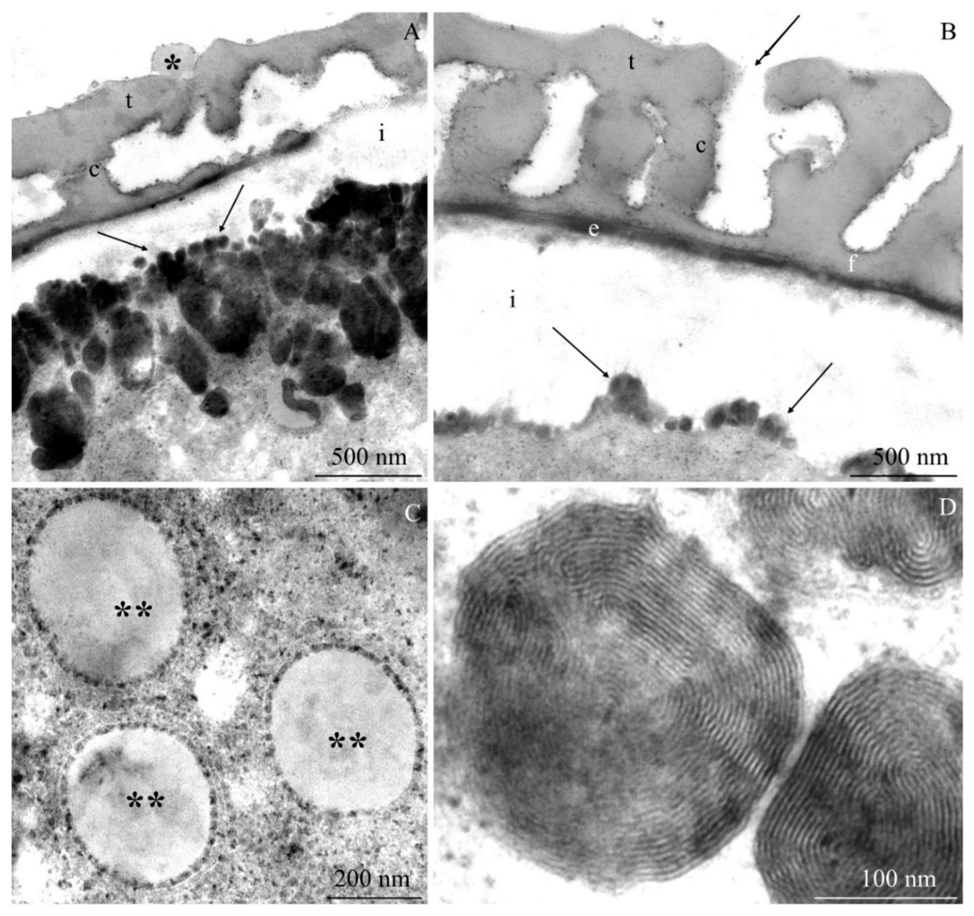 Plants 09 01194 g012 Plants 09 01194 g012