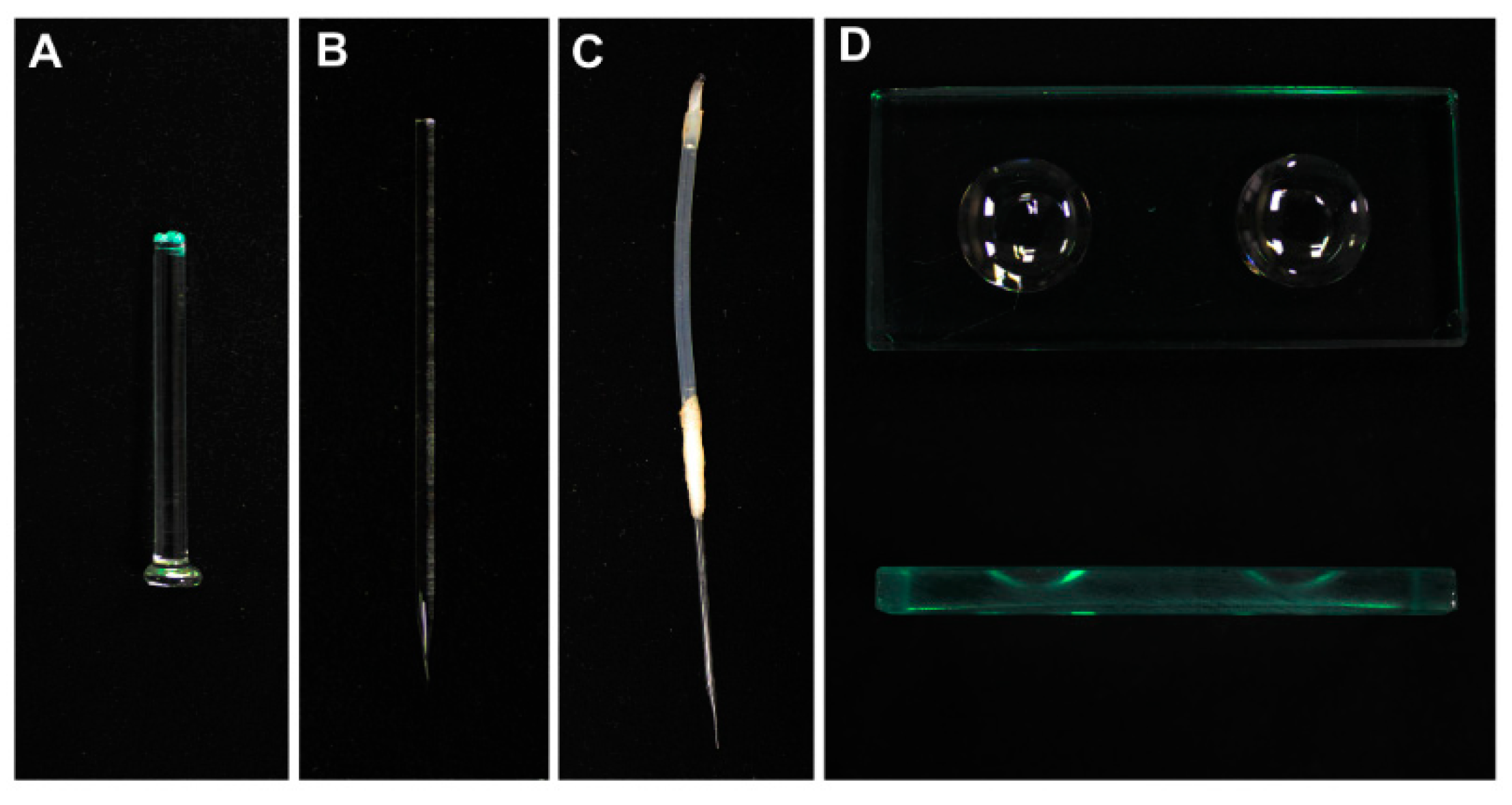 Plants 09 01196 g001