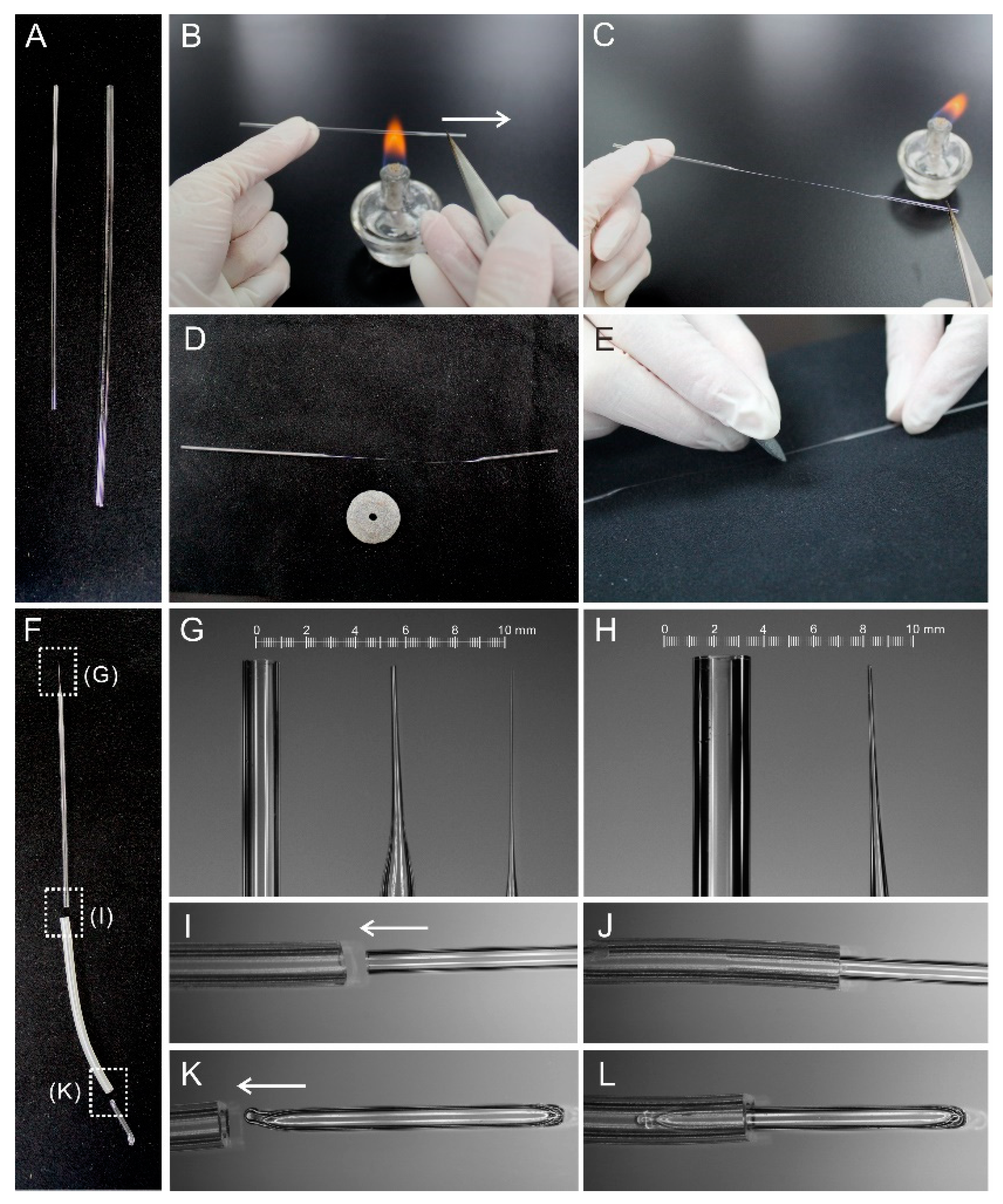 Plants 09 01196 g002