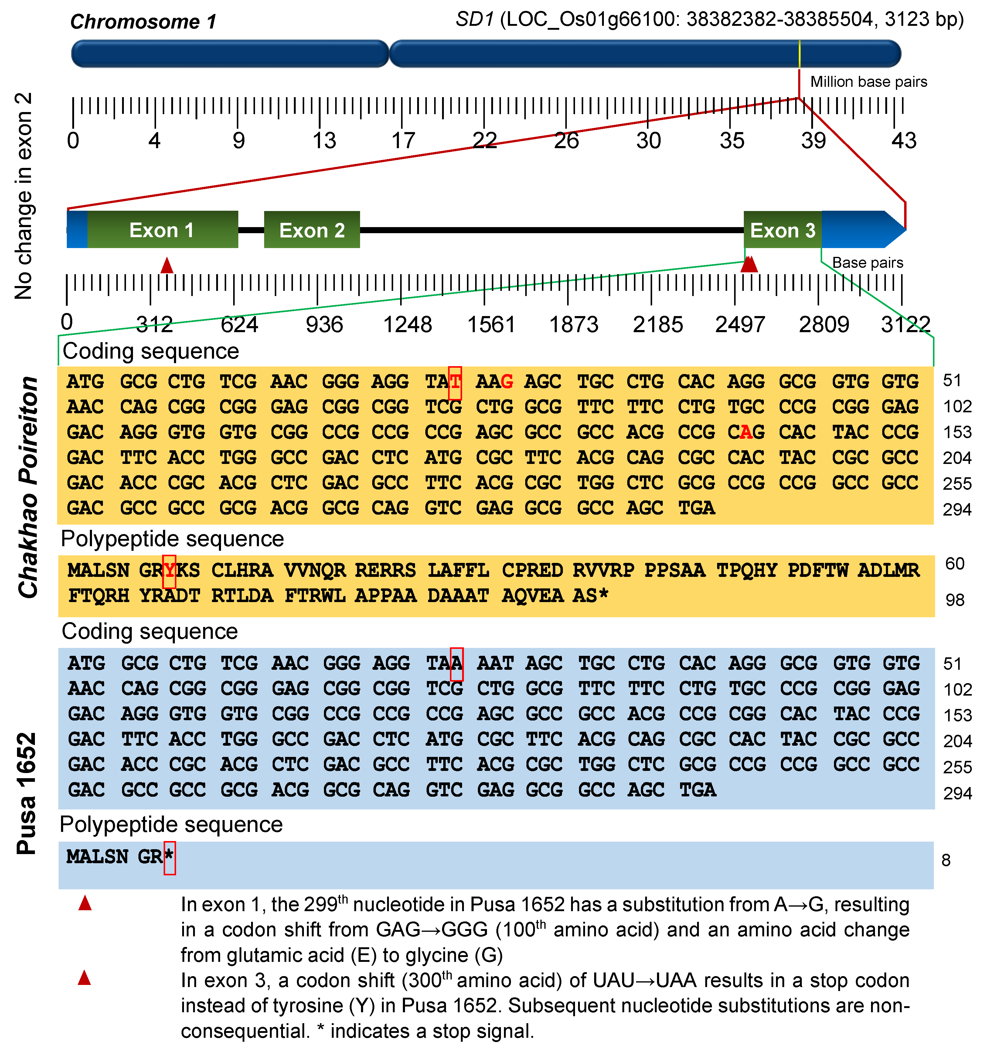 Plants 09 01198 g002 Plants 09 01198 g002