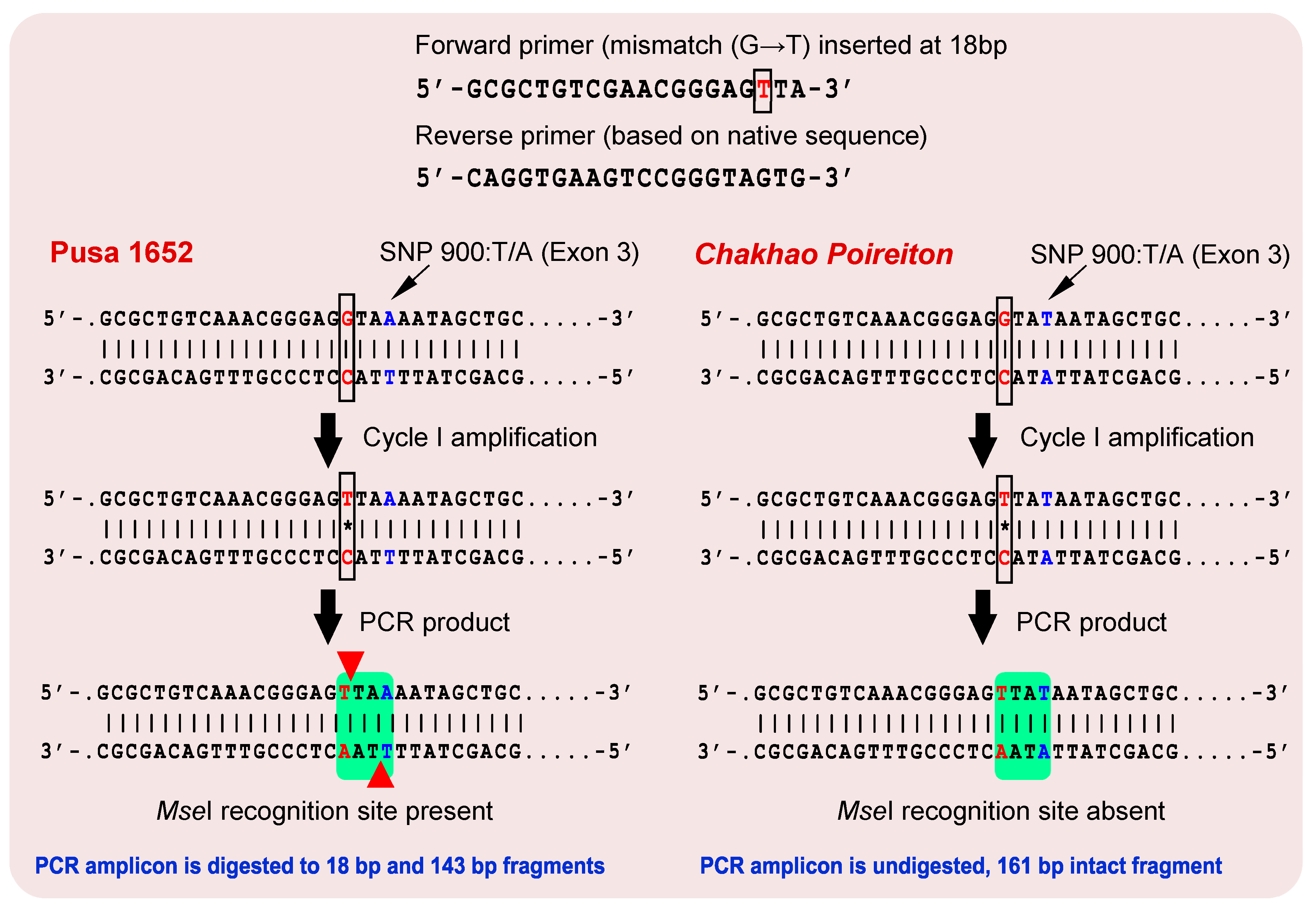 Plants 09 01198 g003 Plants 09 01198 g003