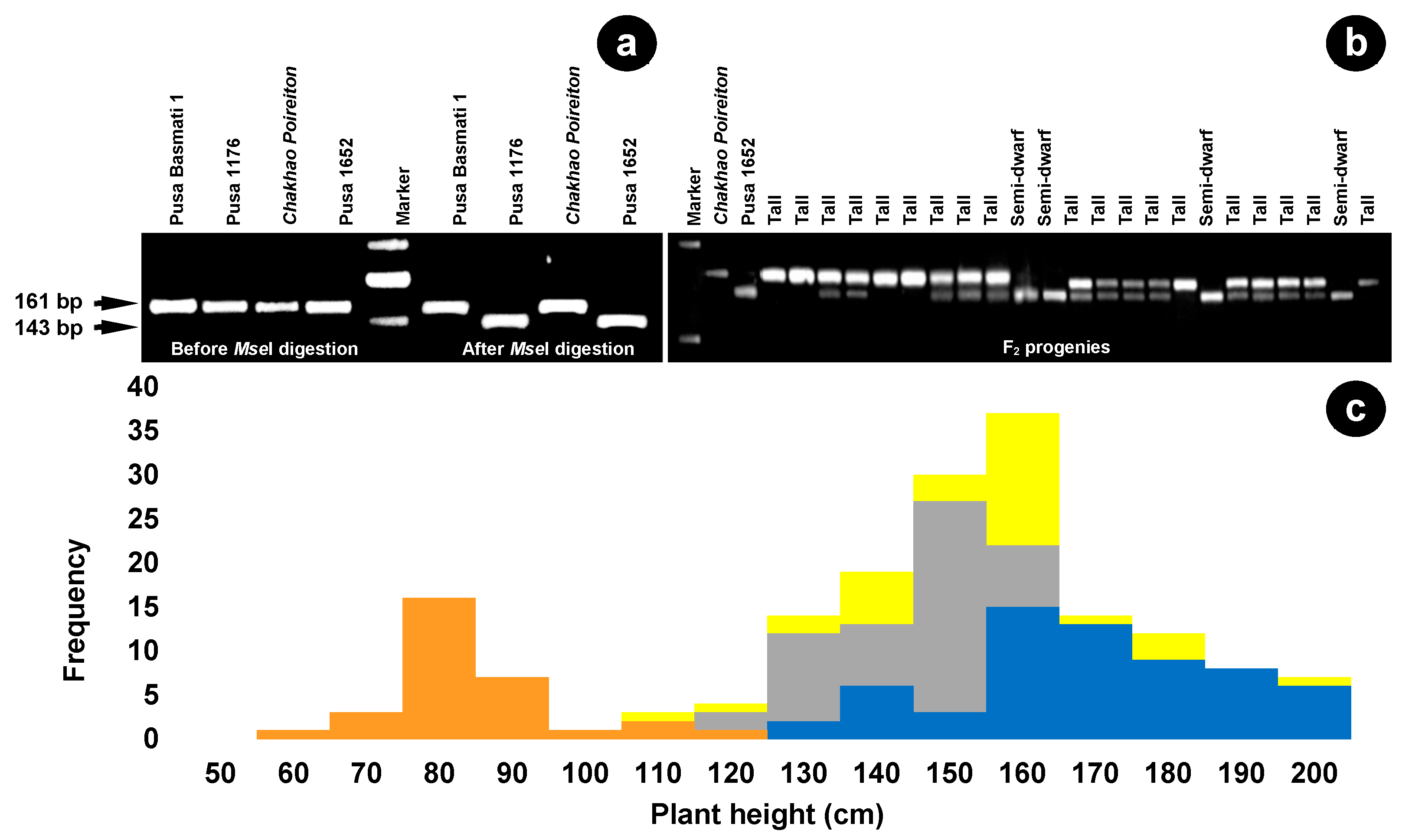 Plants 09 01198 g004 Plants 09 01198 g004