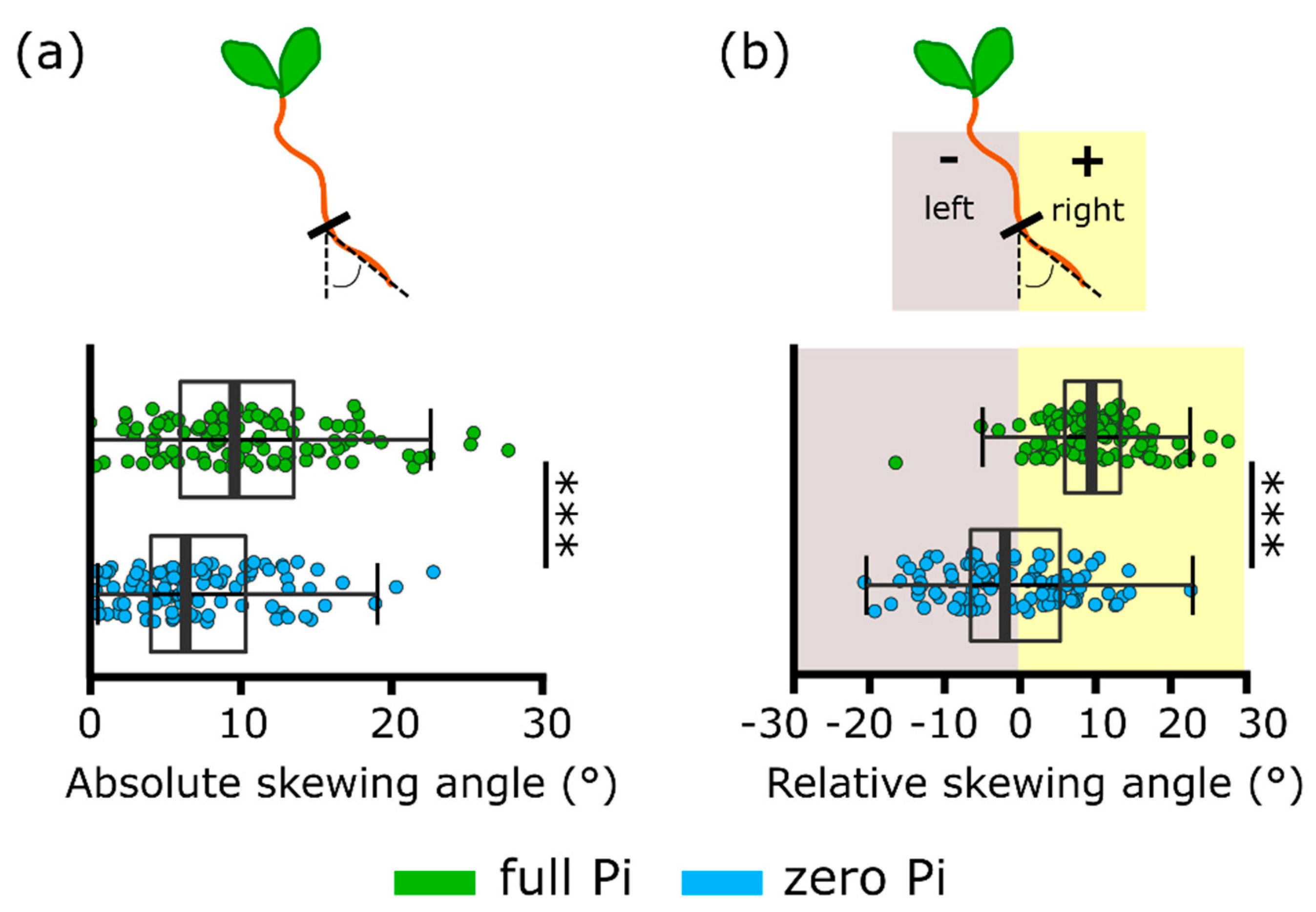 Plants 09 01205 g004