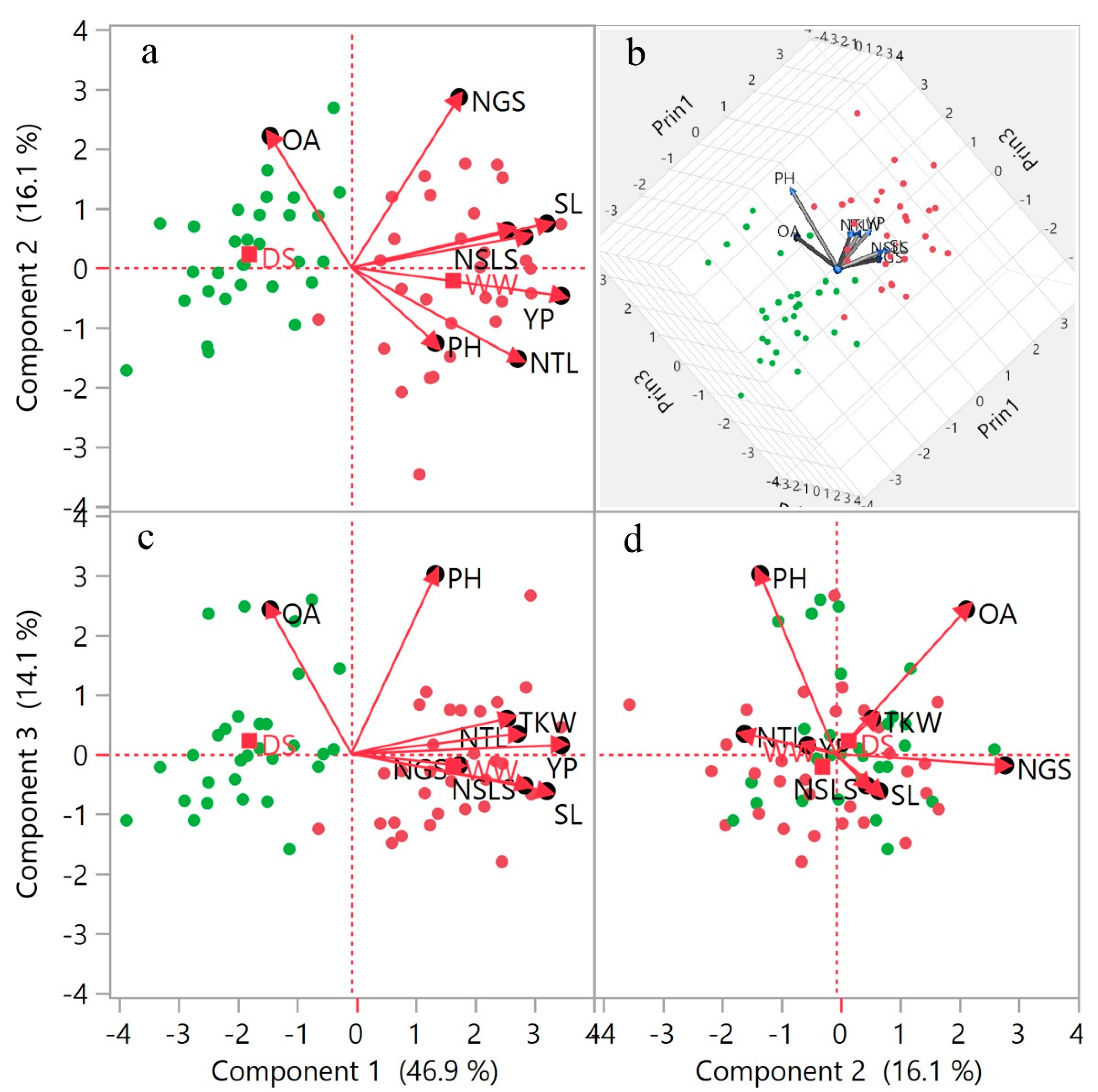 Plants 09 01208 g002