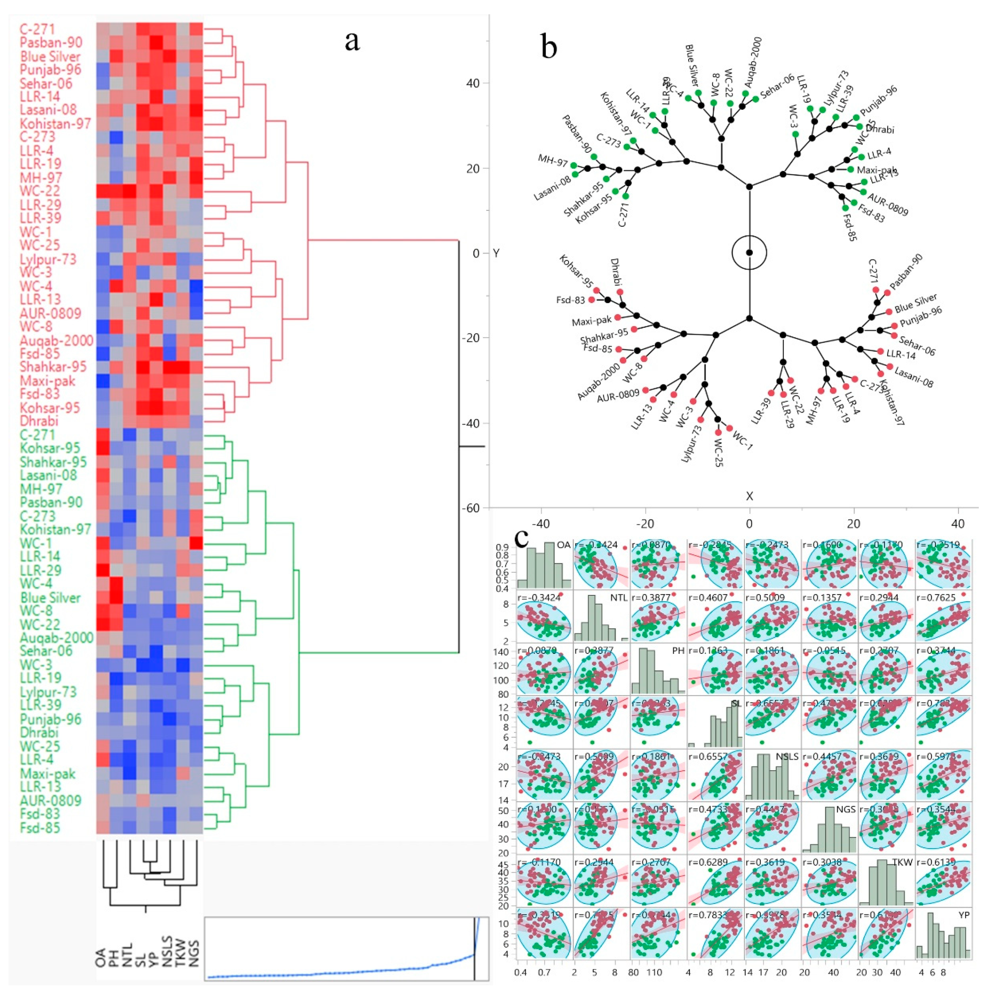 Plants 09 01208 g004
