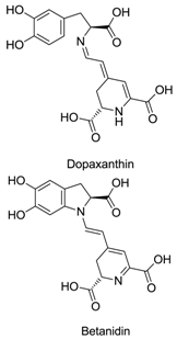 Plants 09 01219 i005 Plants 09 01219 i005