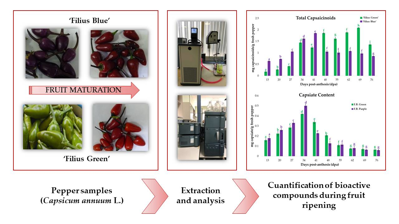 Capsaicinoids and Capsiate in Pepper - Plants 09 01222 Ag
