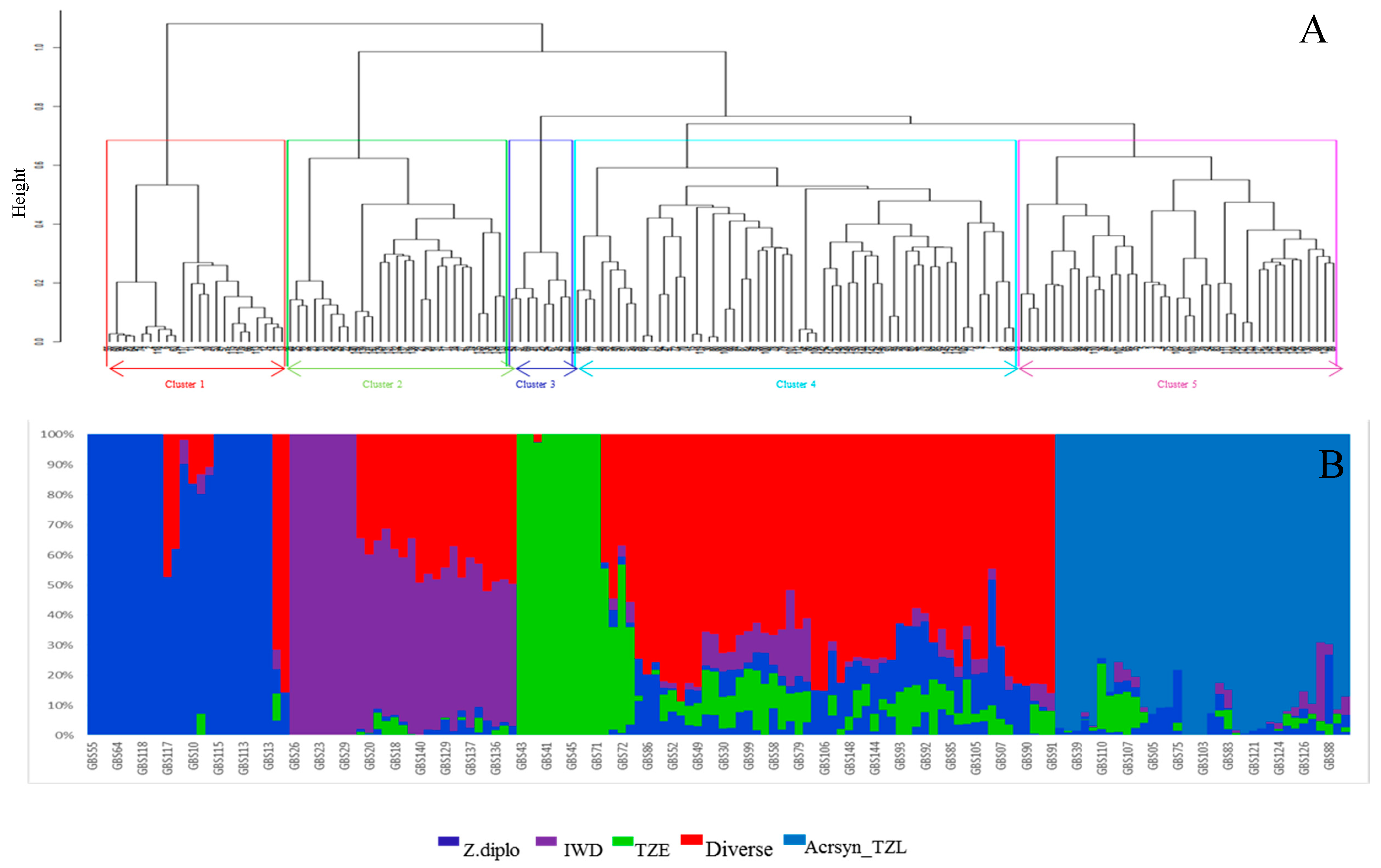 Plants 09 01223 g004