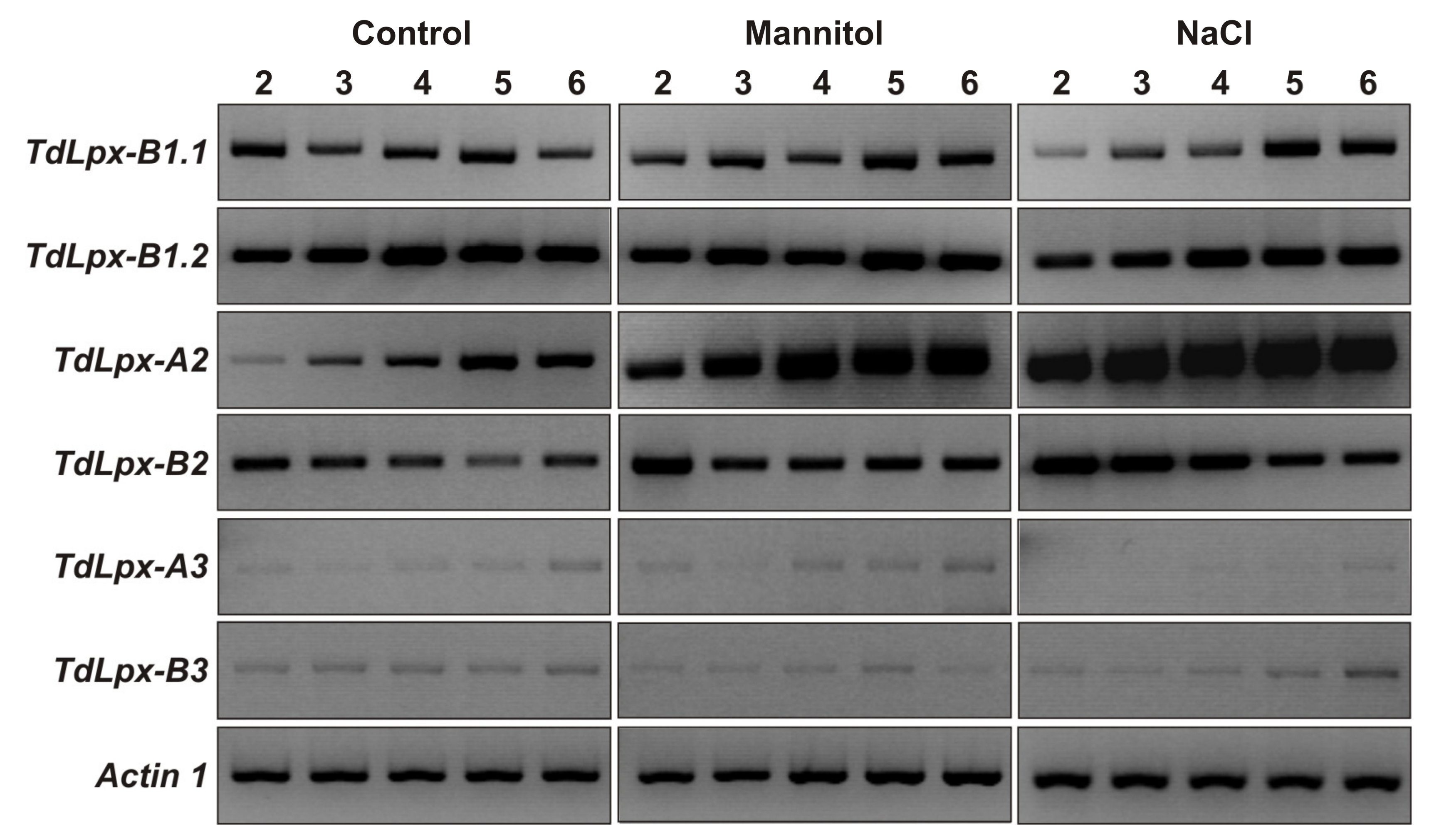 Plants 09 01233 g003