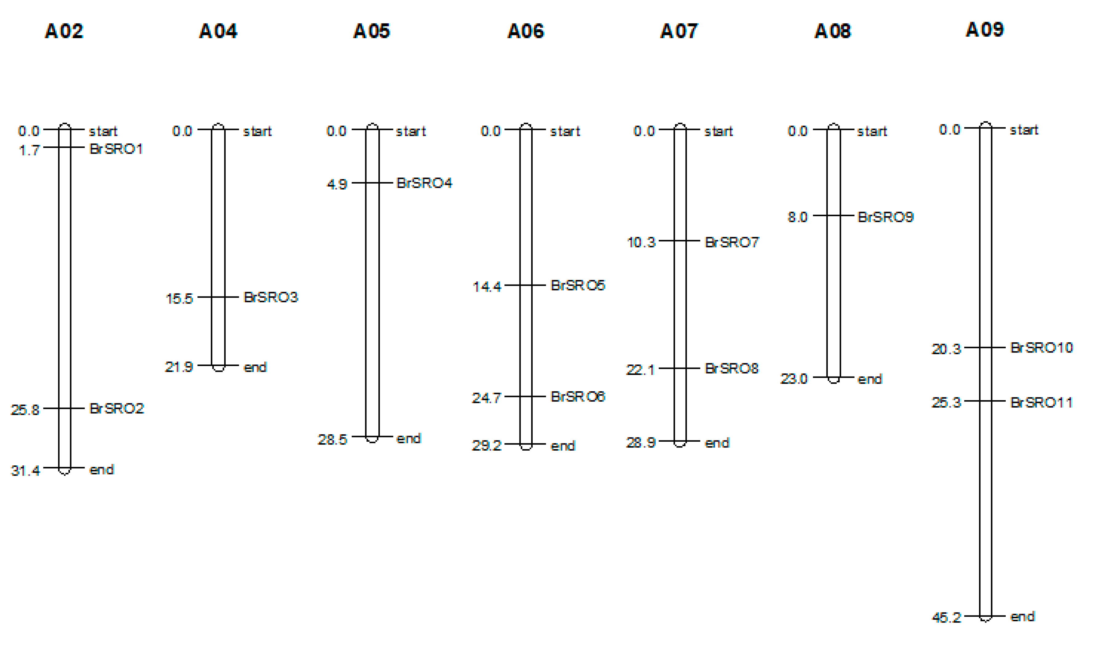 Plants 09 01235 g001