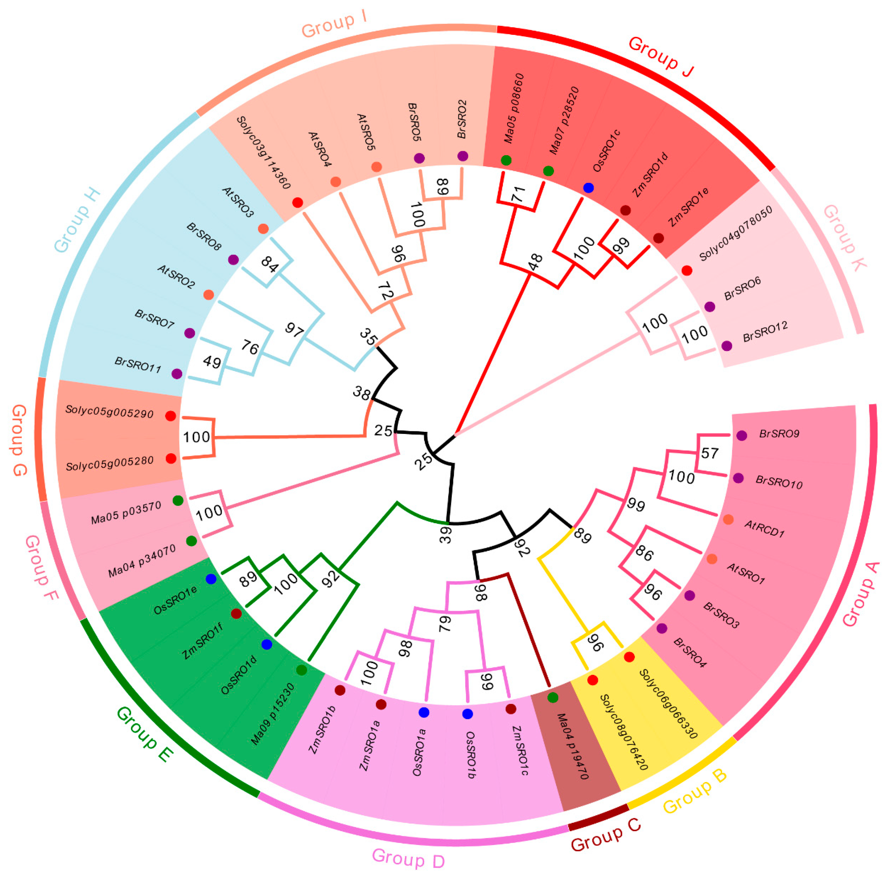 Plants 09 01235 g002