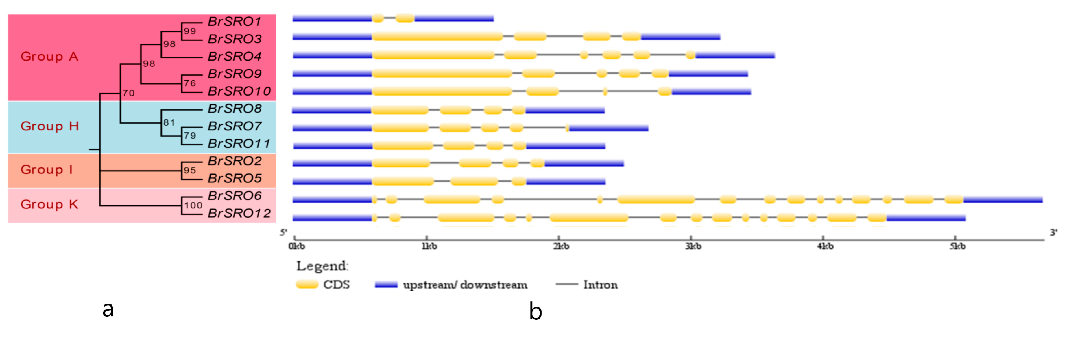 Plants 09 01235 g003