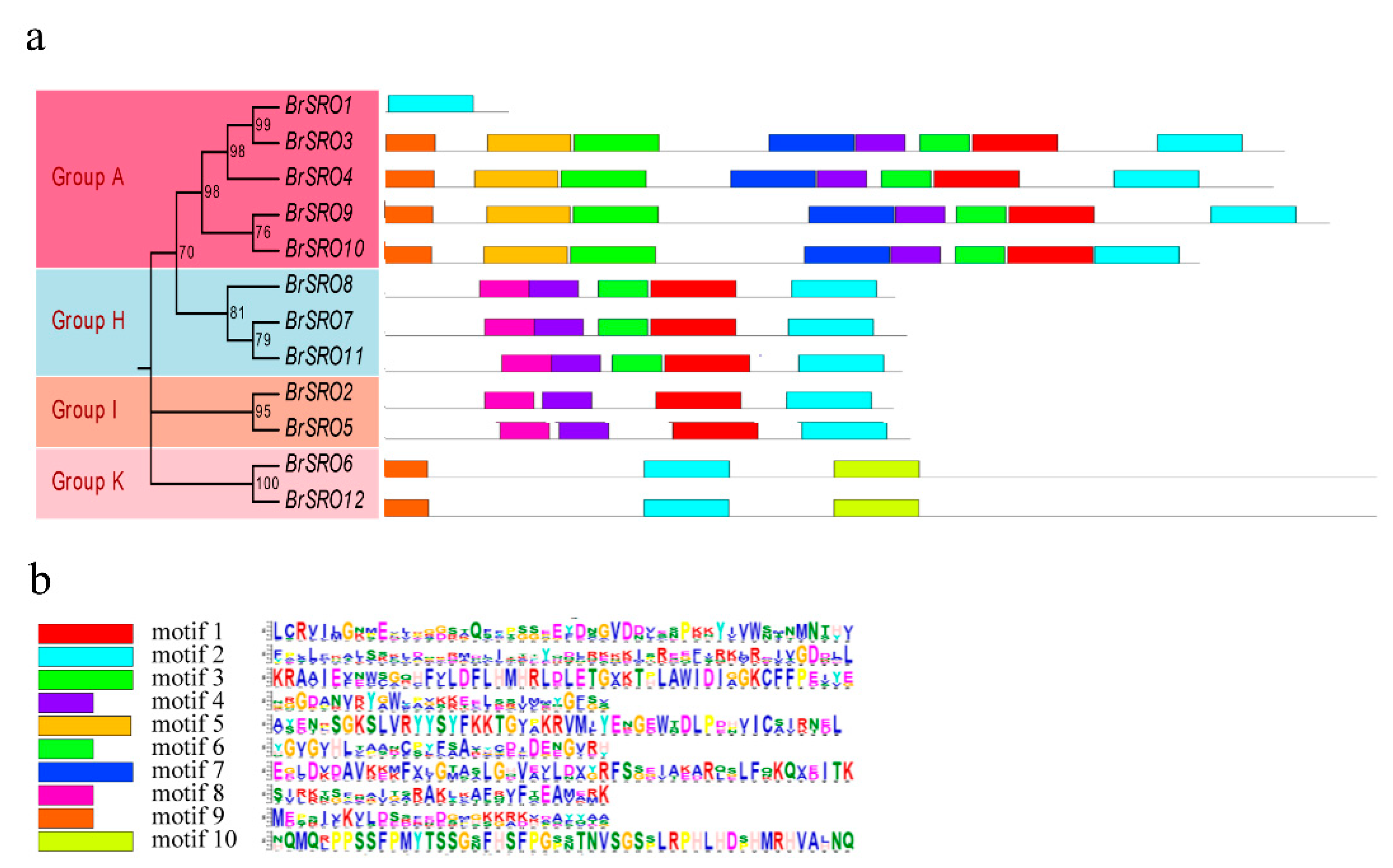 Plants 09 01235 g004