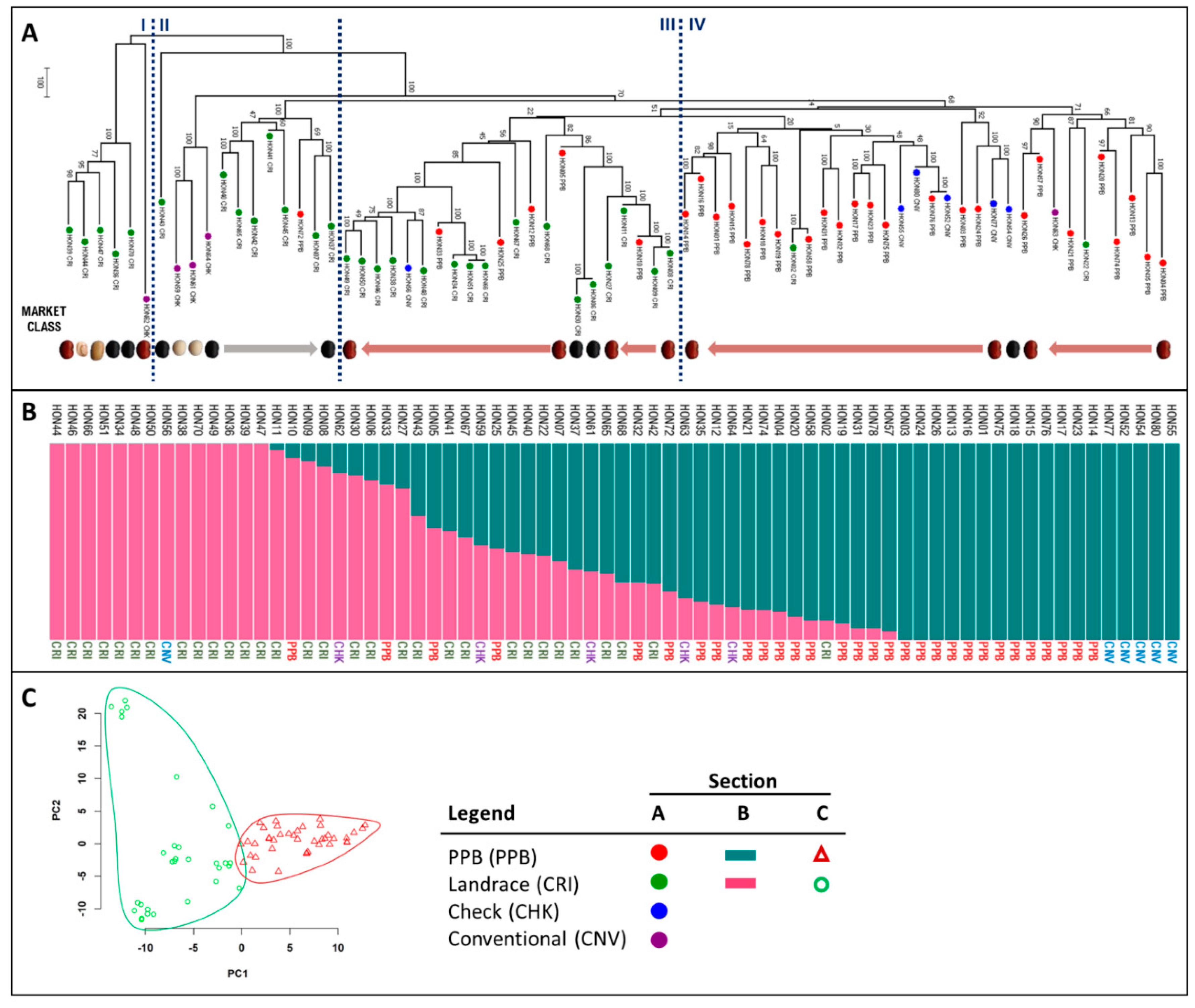 Plants 09 01238 g002