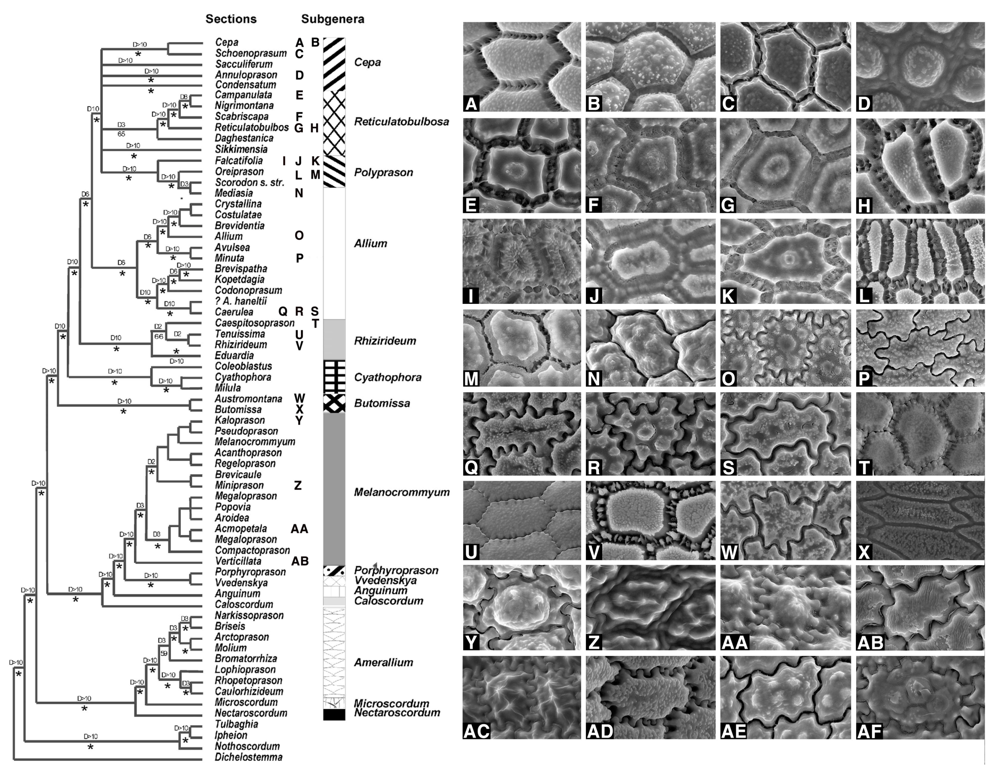 Plants 09 01239 g009