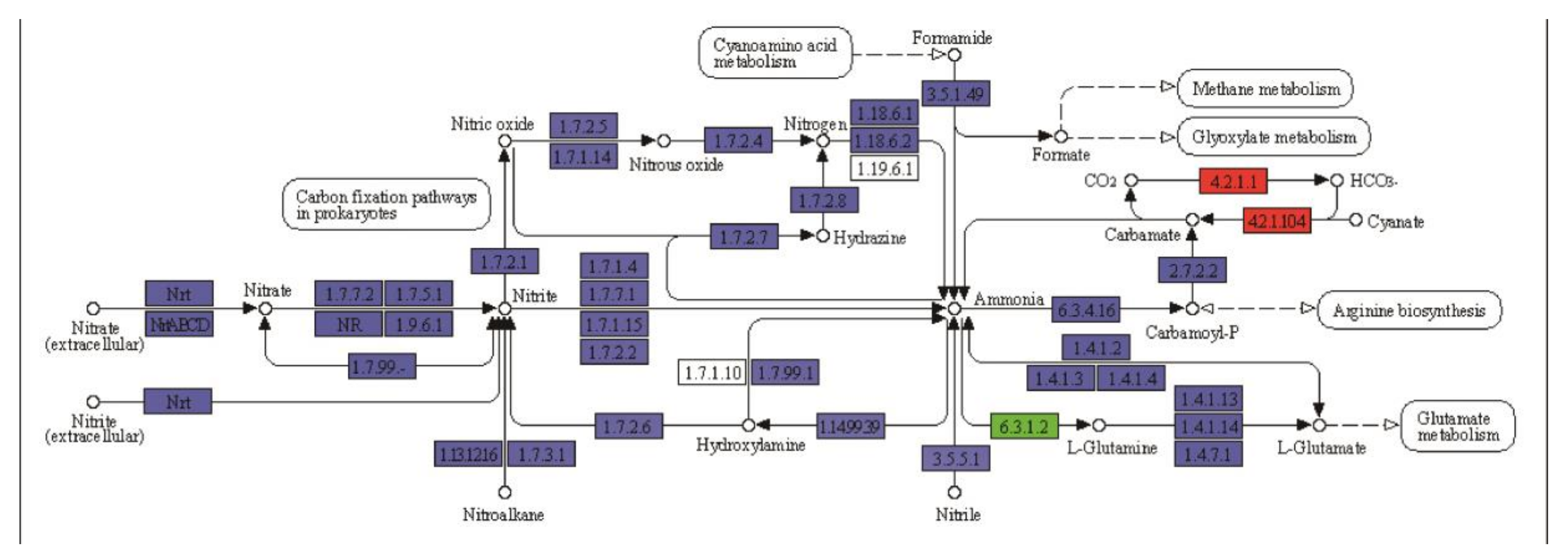 Plants 09 01267 g007