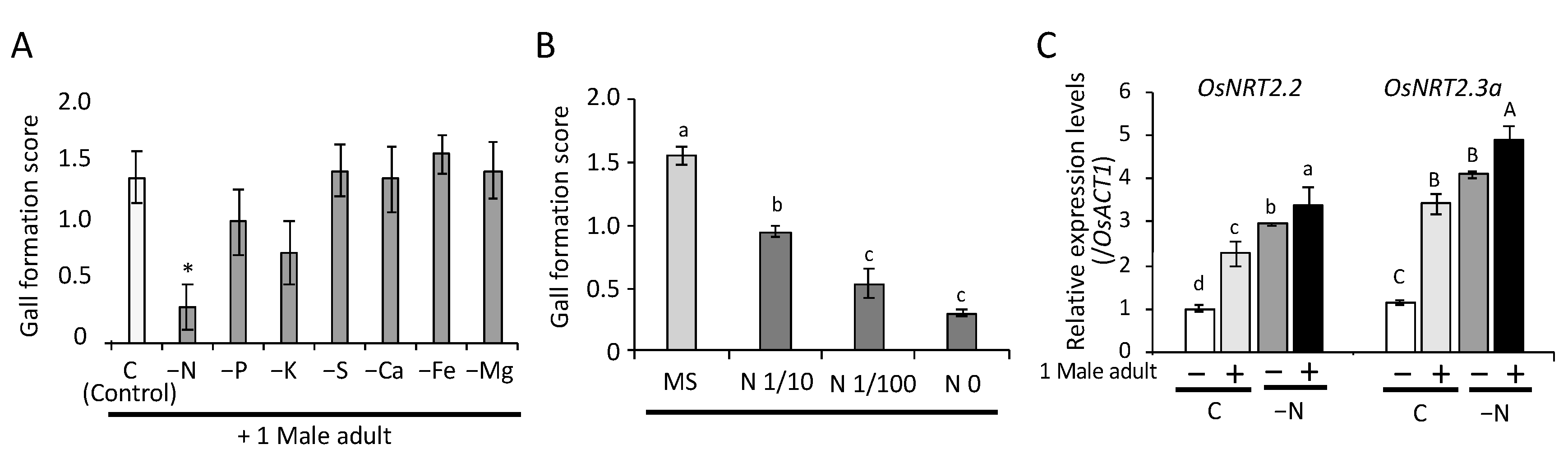 Plants 09 01270 g003