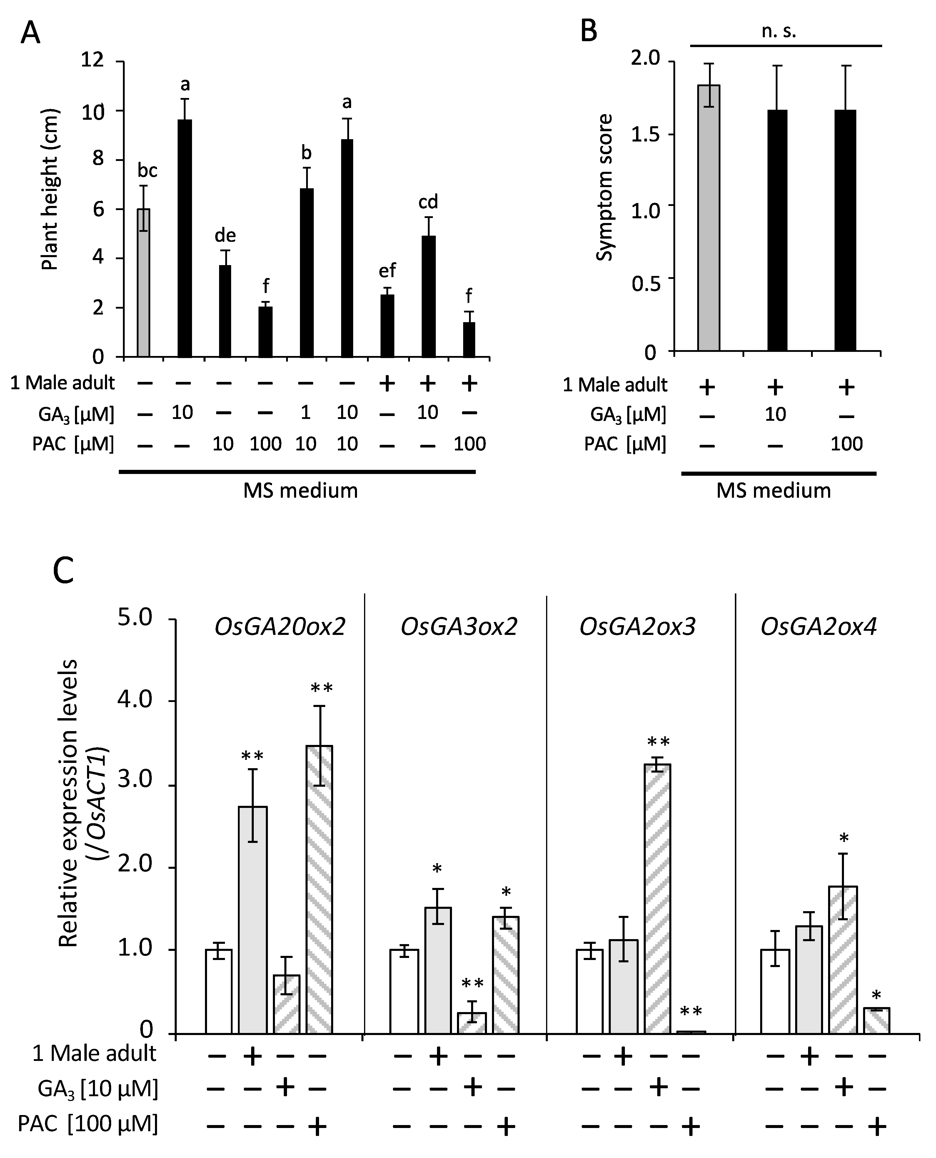 Plants 09 01270 g004