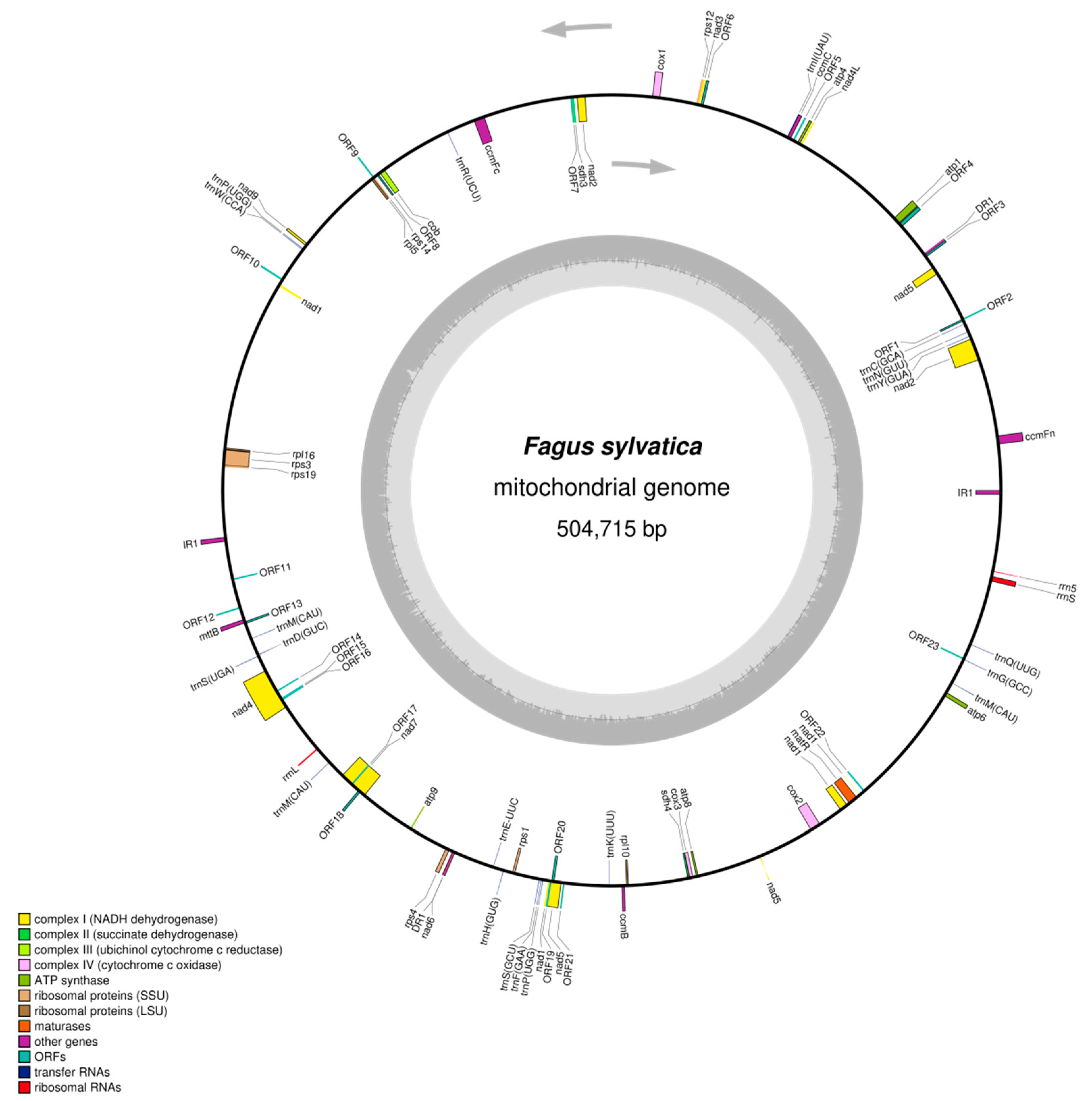 Plants 09 01274 g001