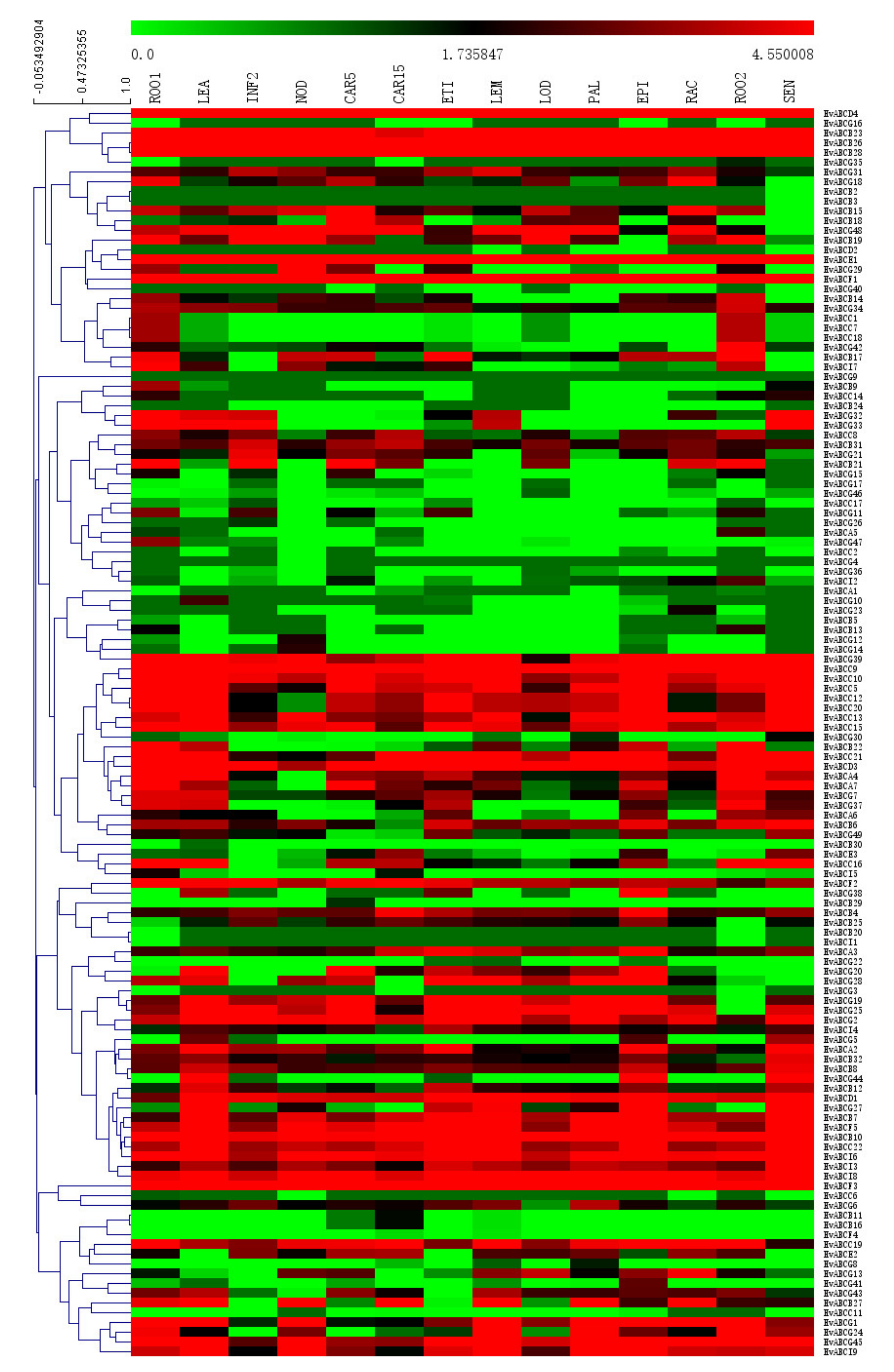 Plants 09 01281 g004 Plants 09 01281 g004